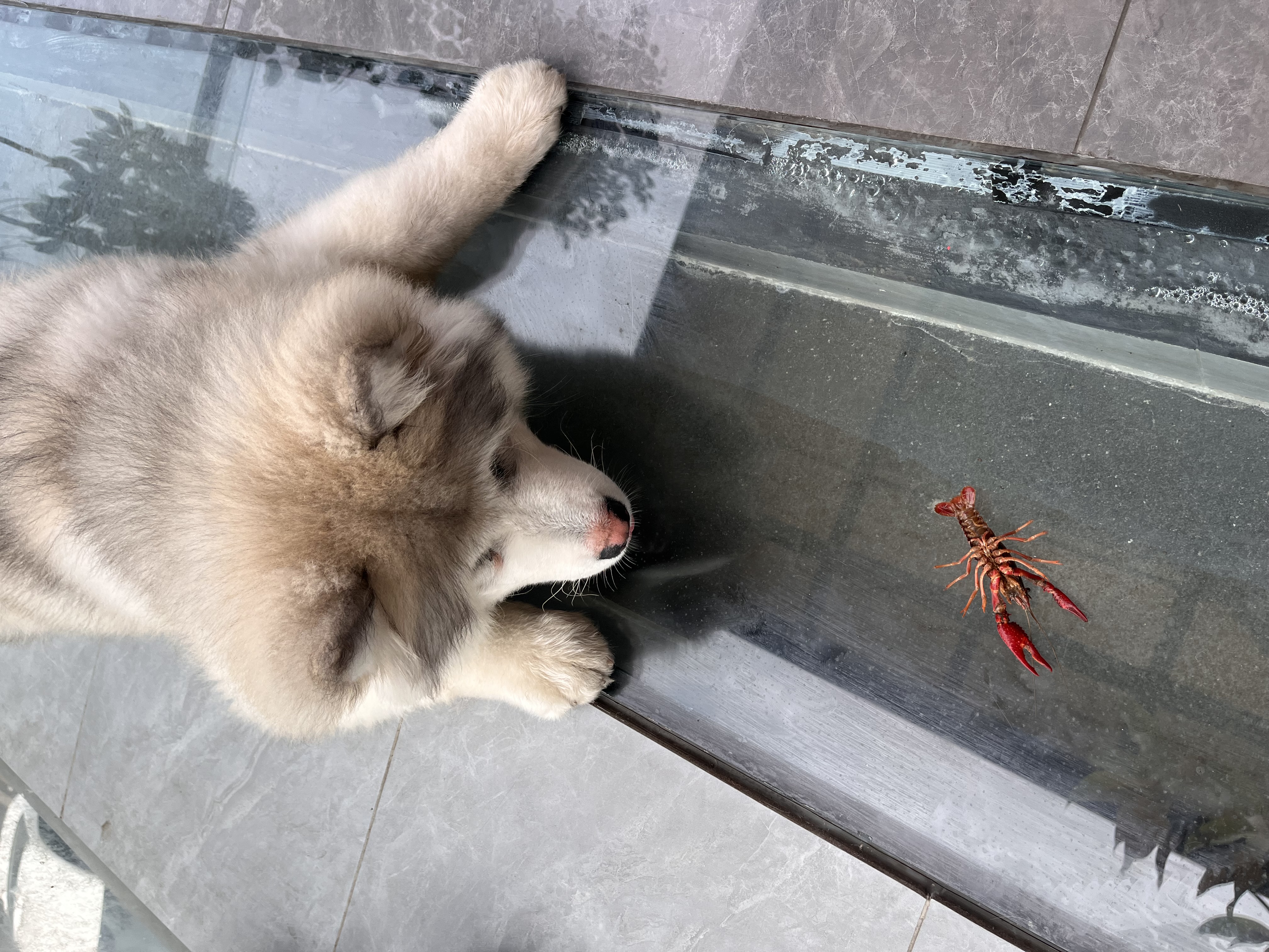 图片附件