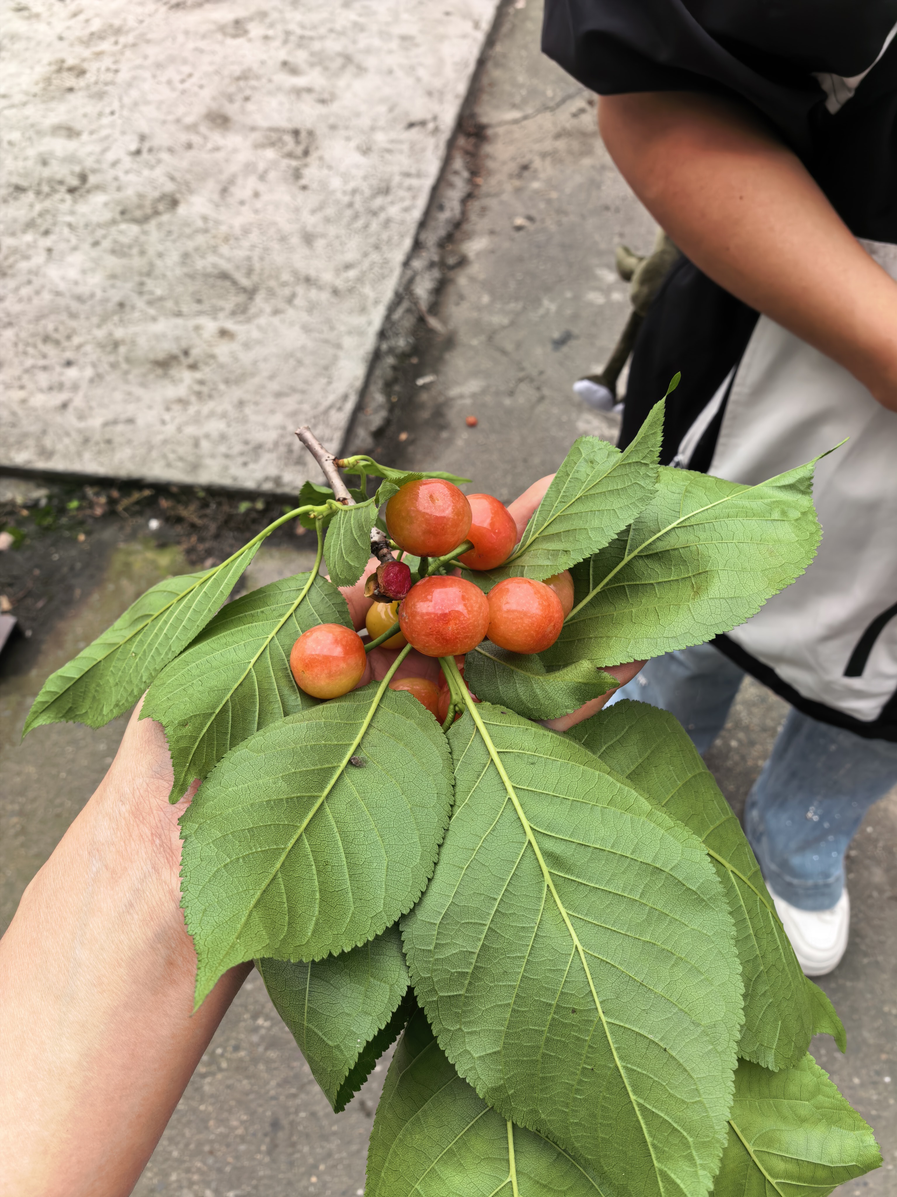 图片附件