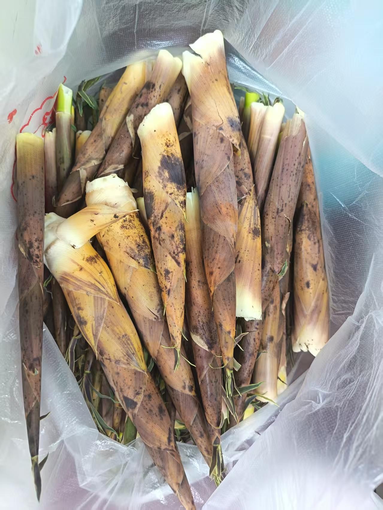 图片附件