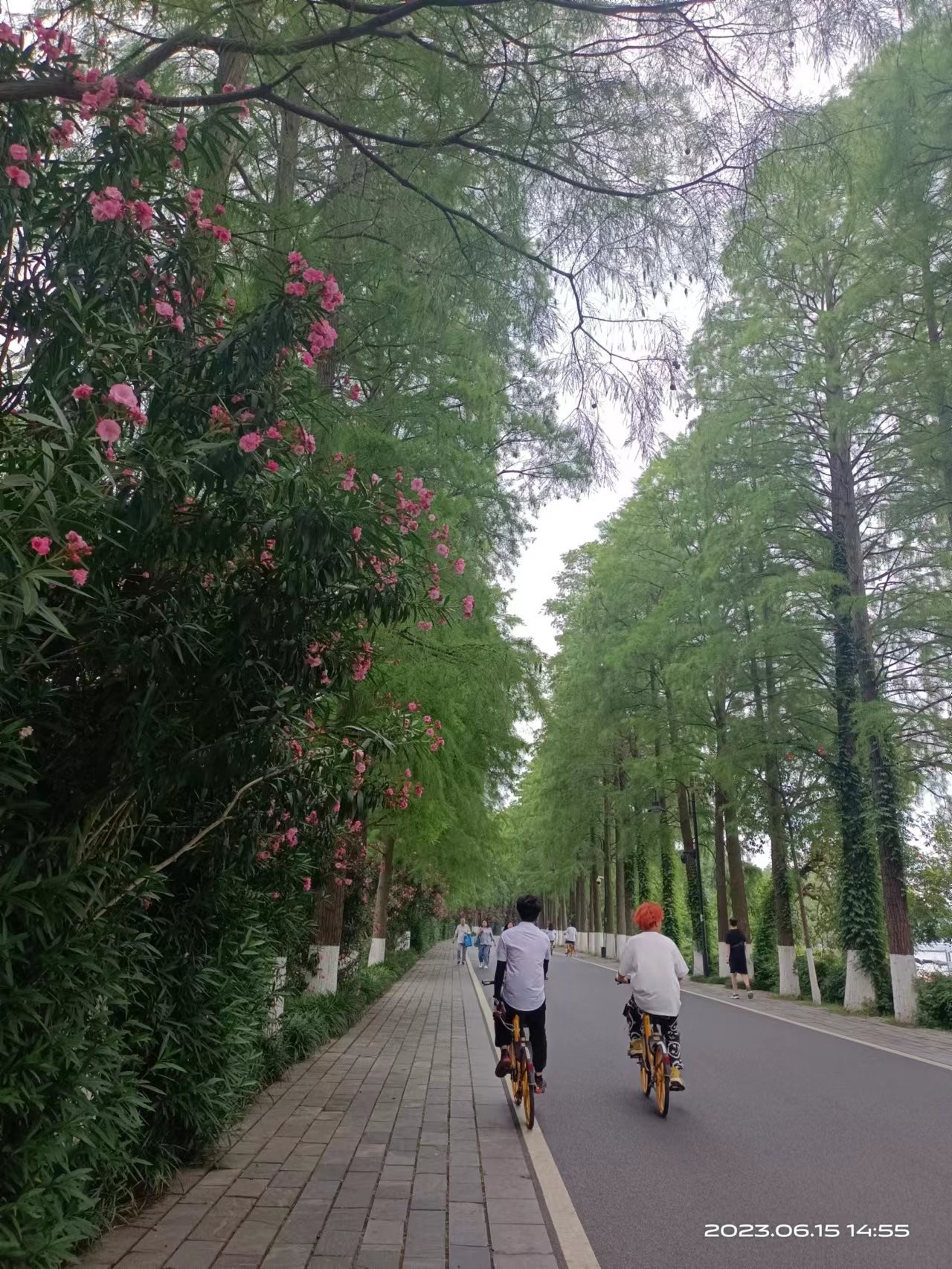 图片附件
