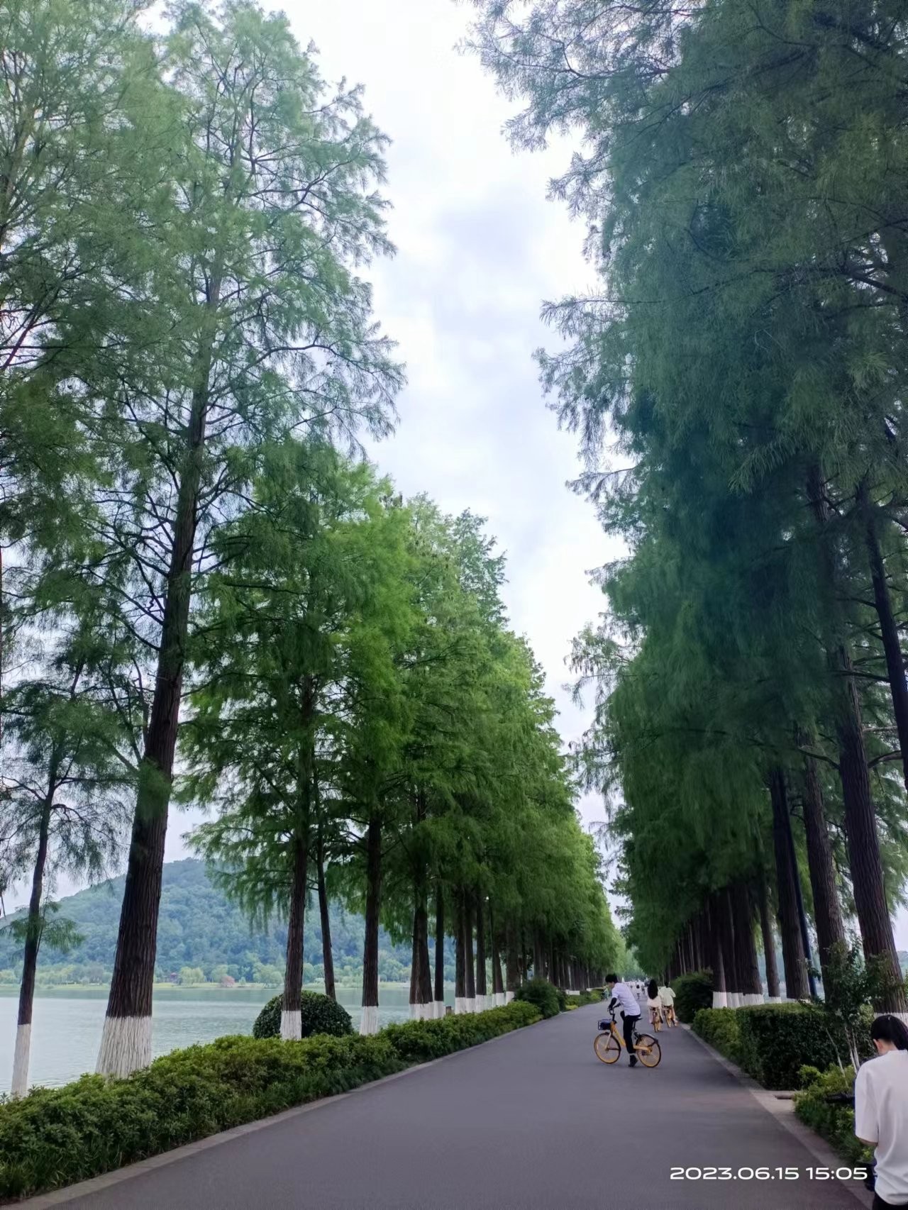 图片附件