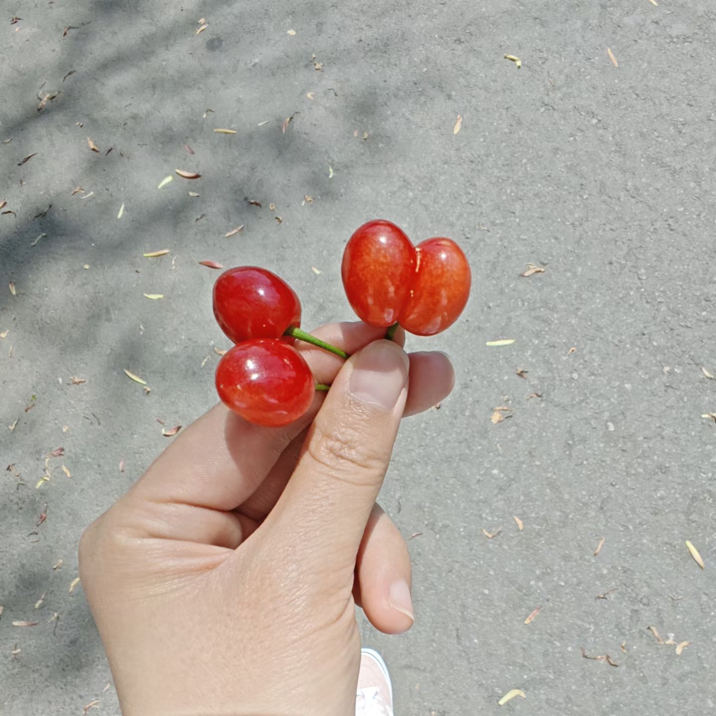 图片附件