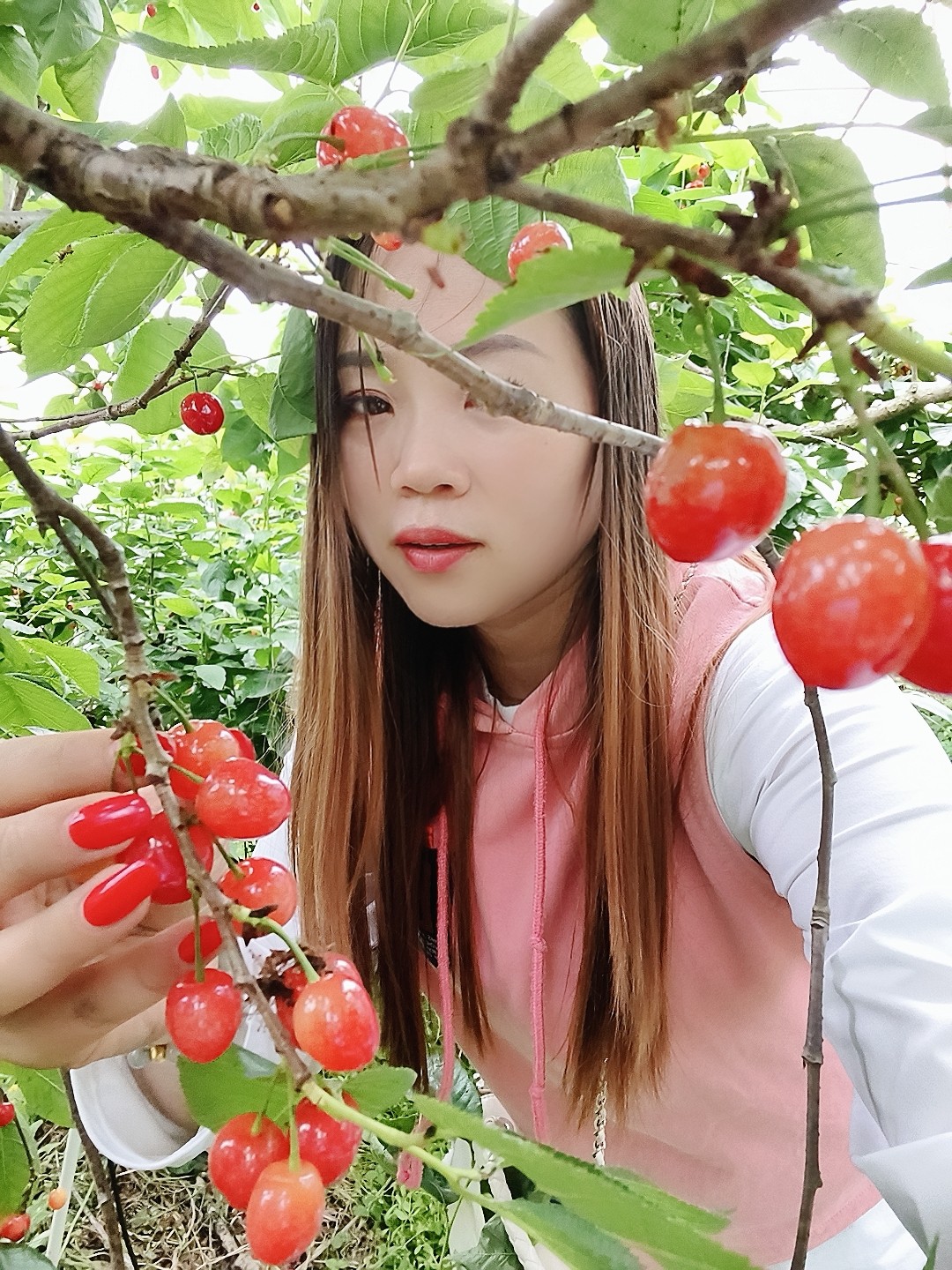 图片附件