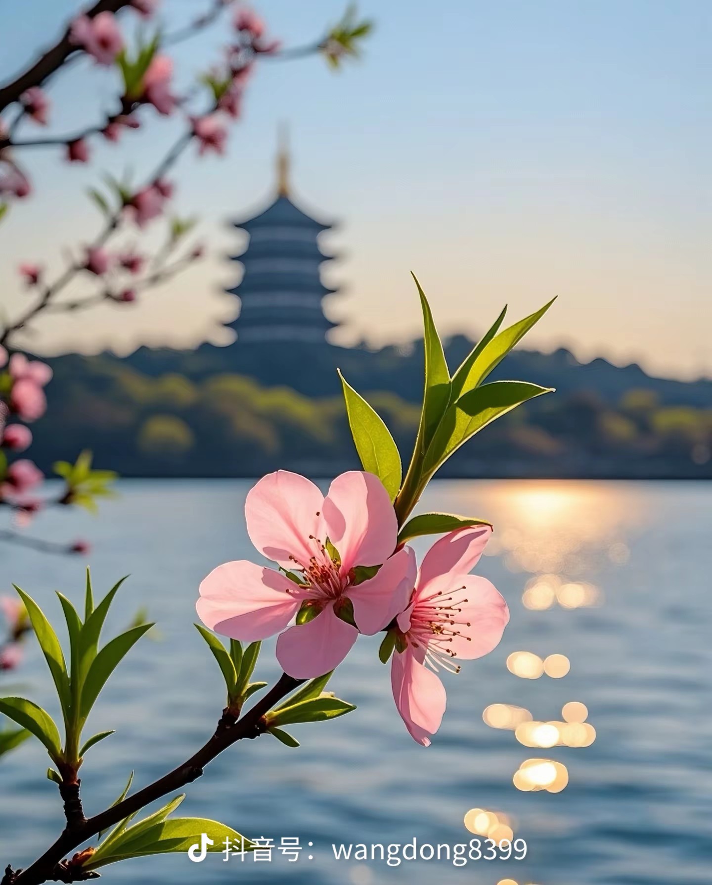 图片附件