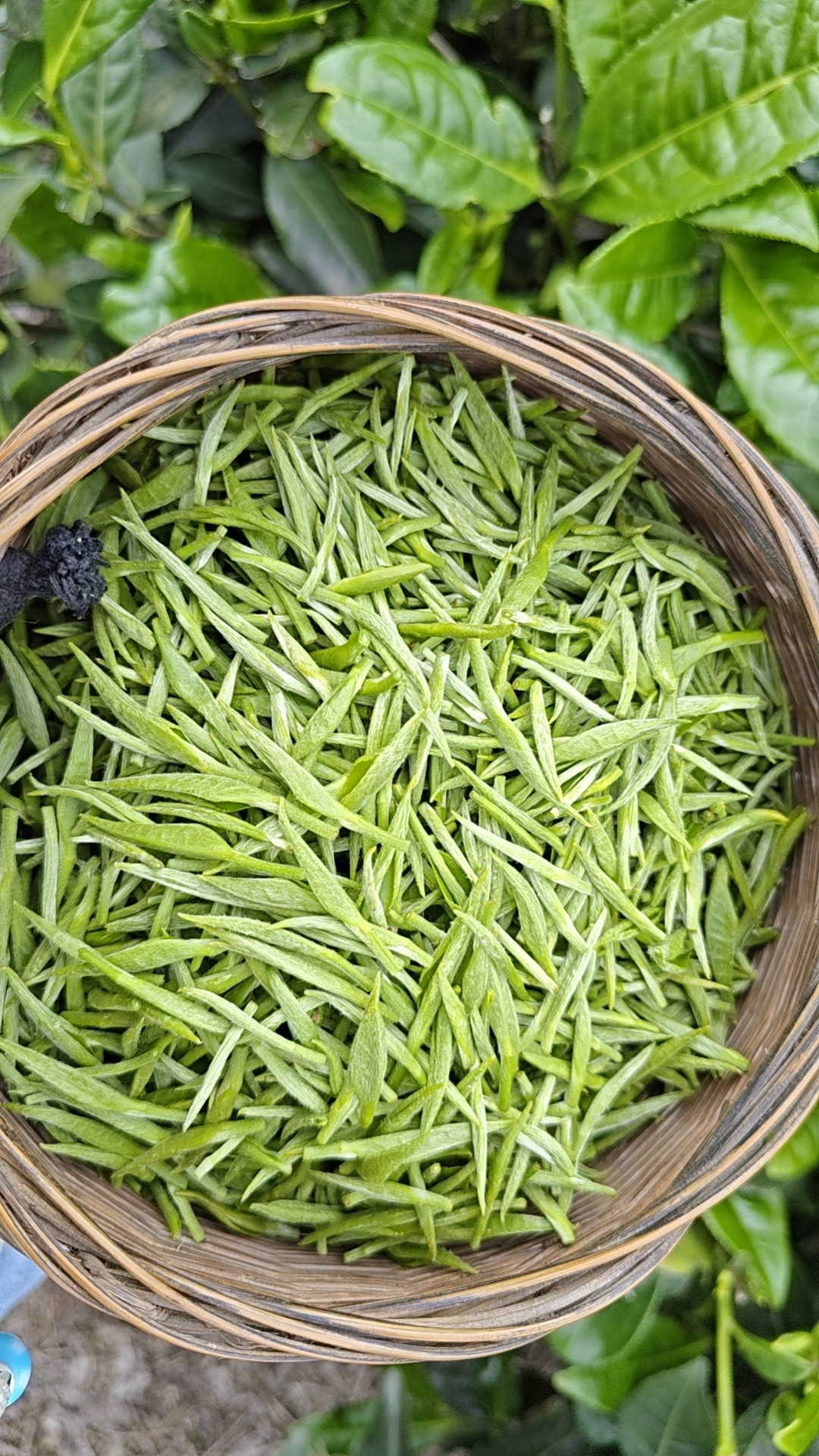 图片附件