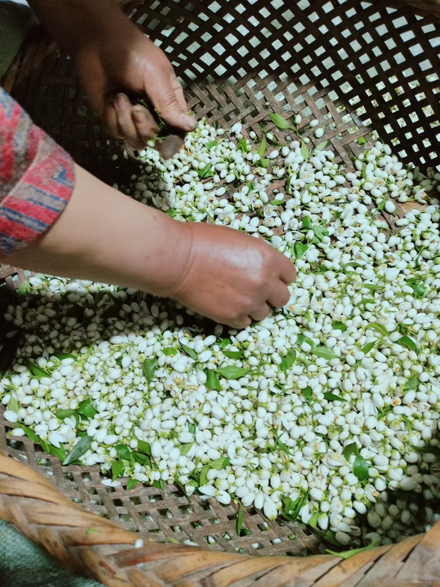 图片附件
