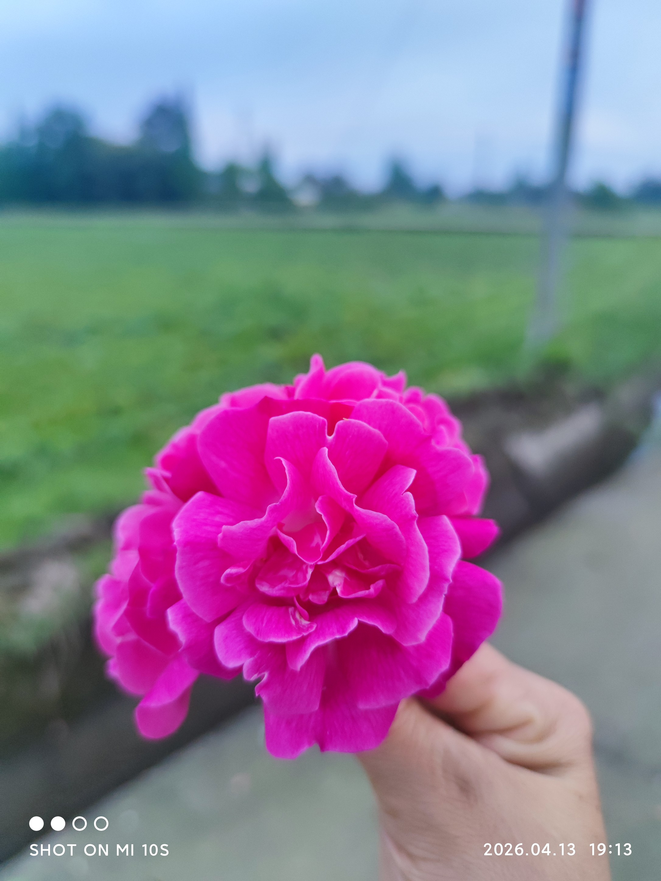 图片附件