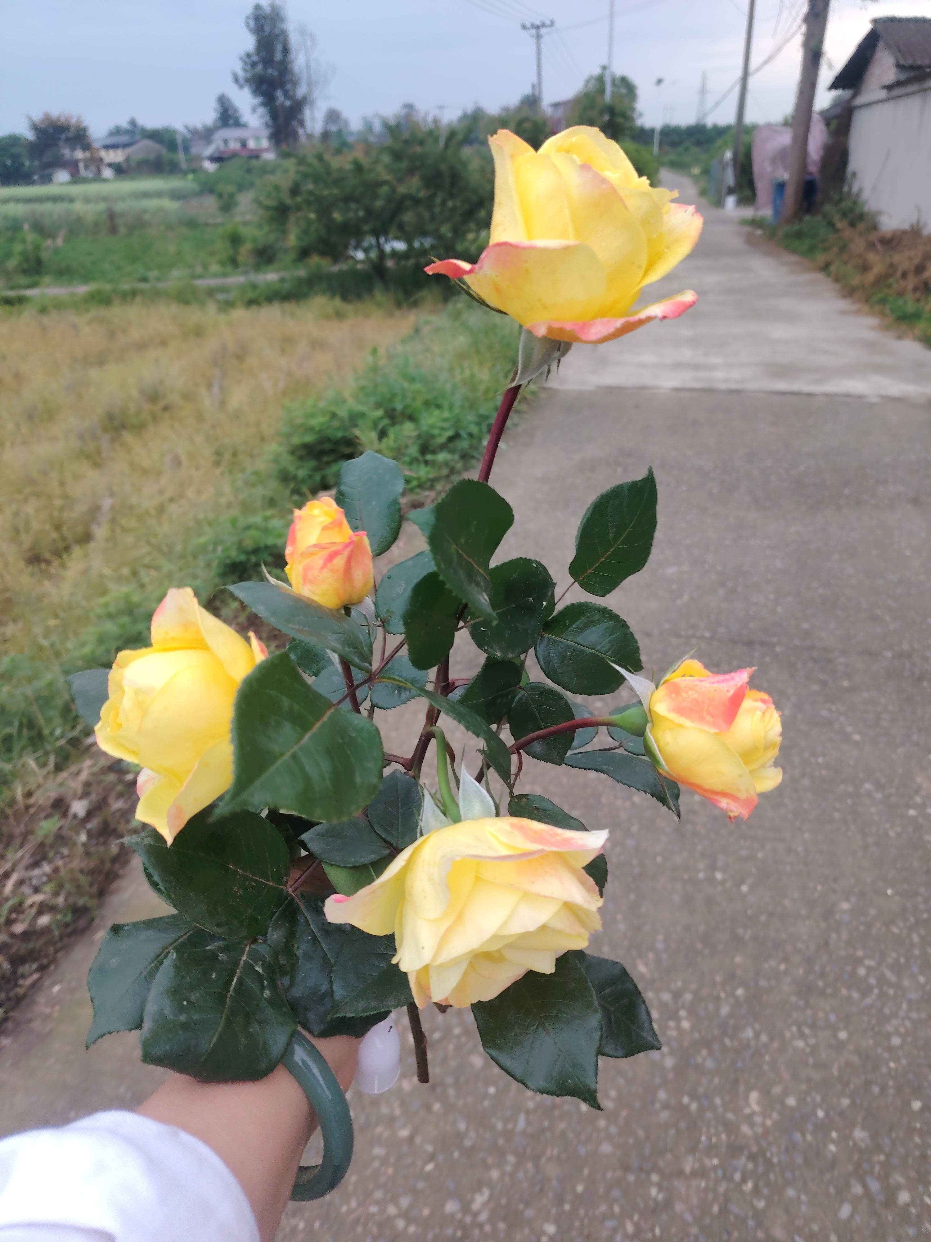 图片附件