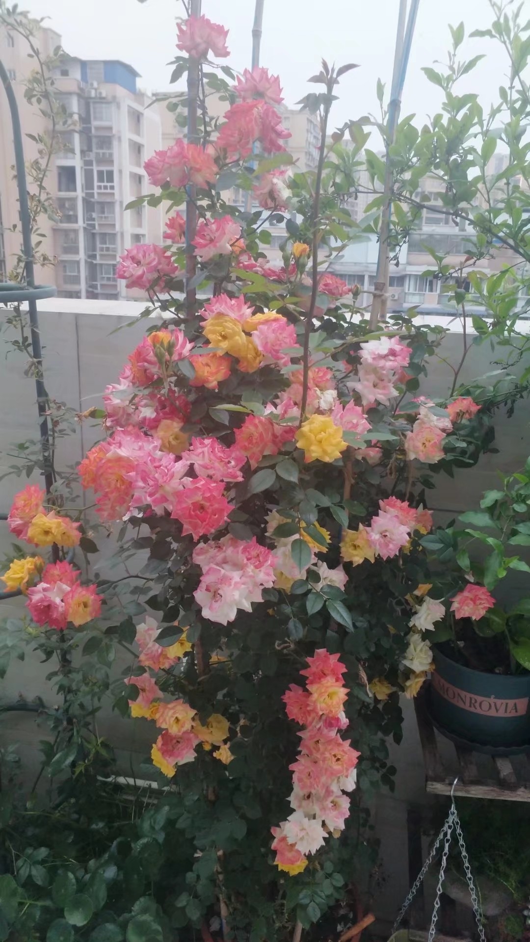 图片附件