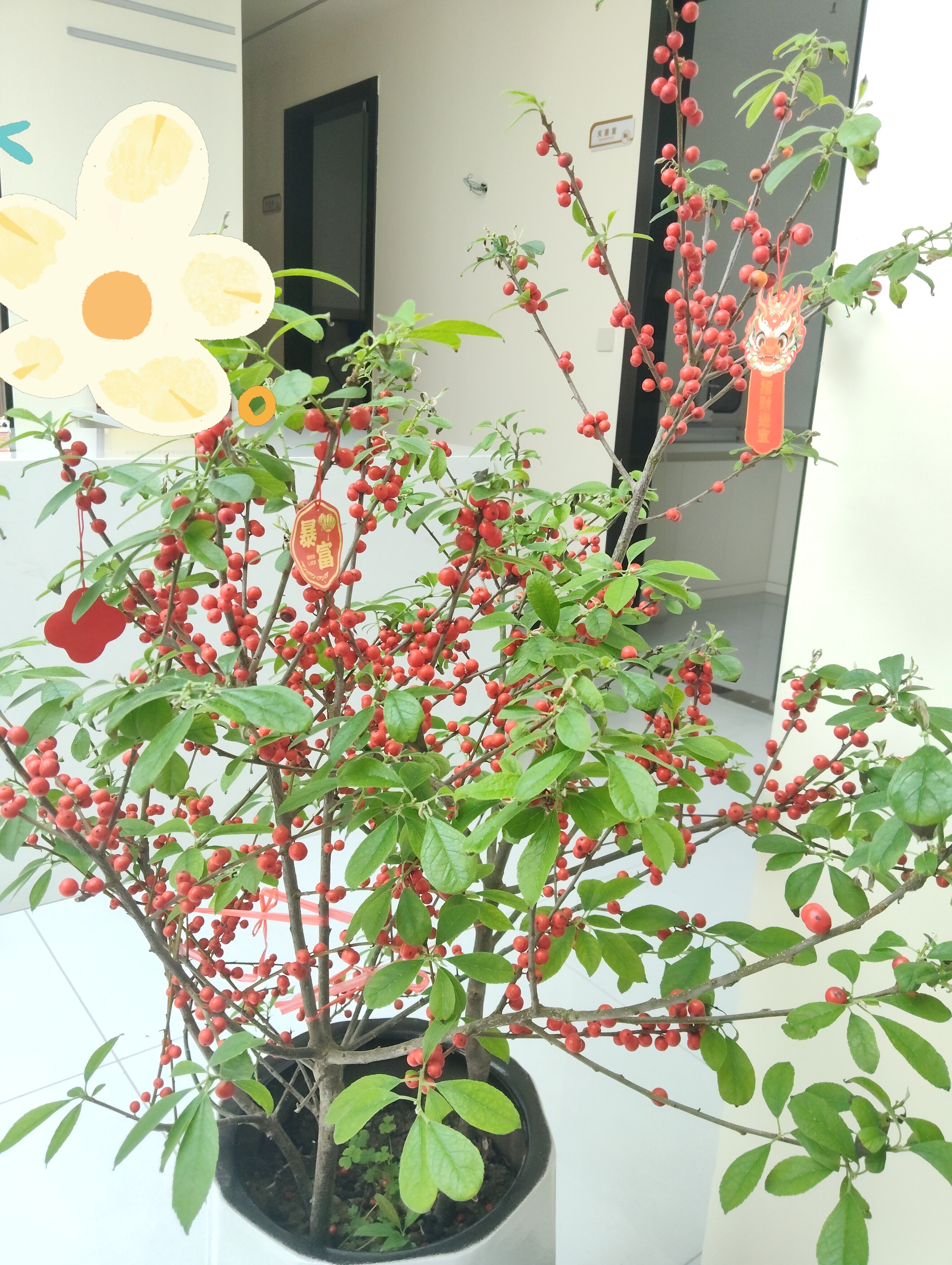 图片附件