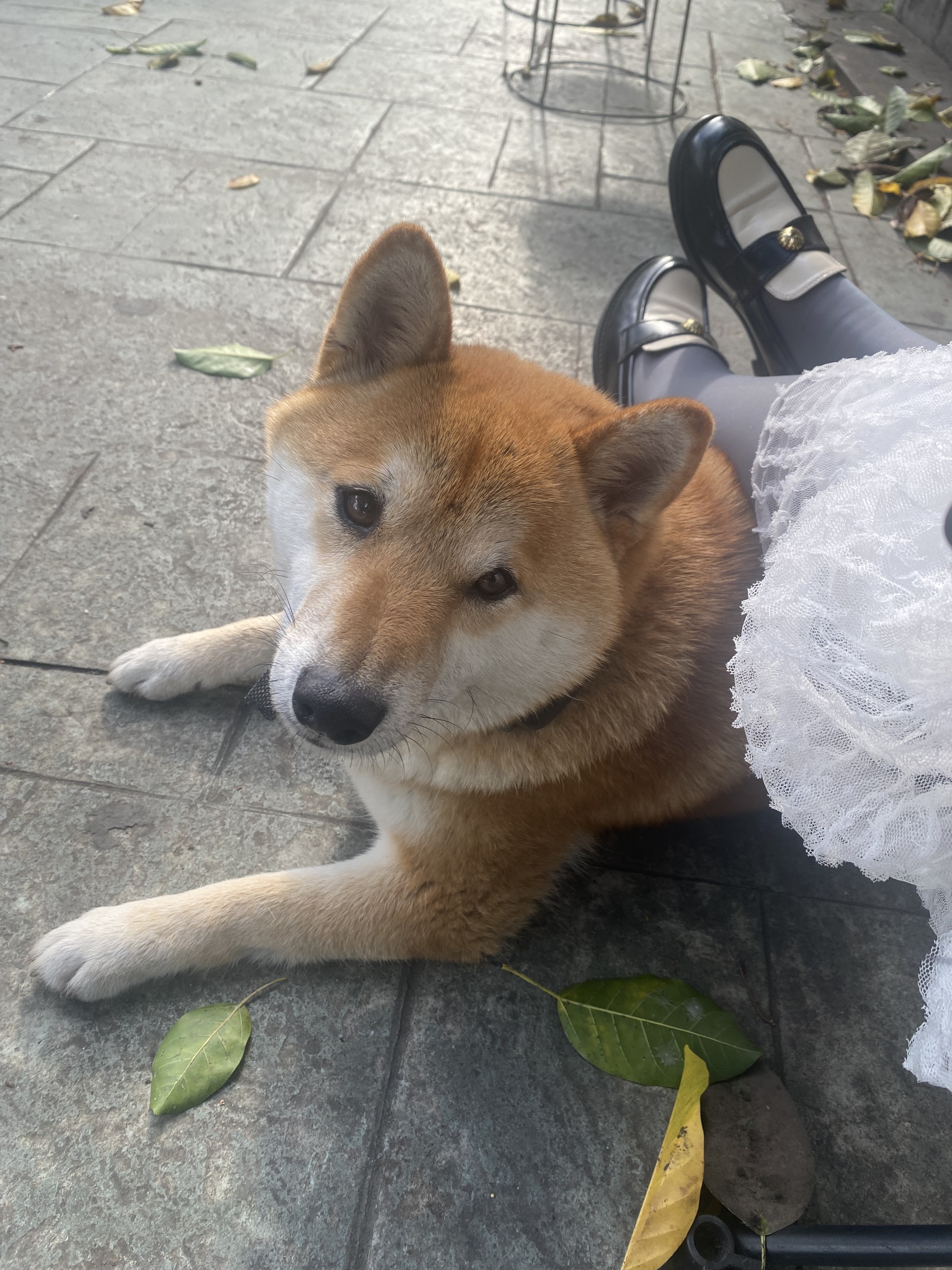 图片附件