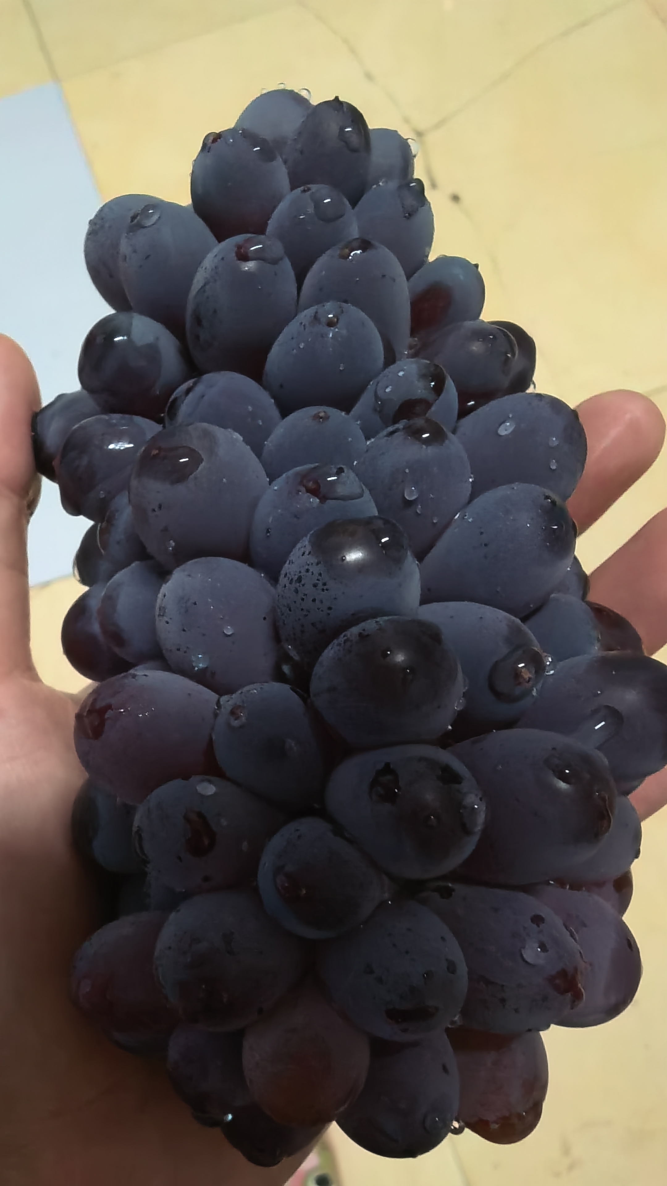 图片附件