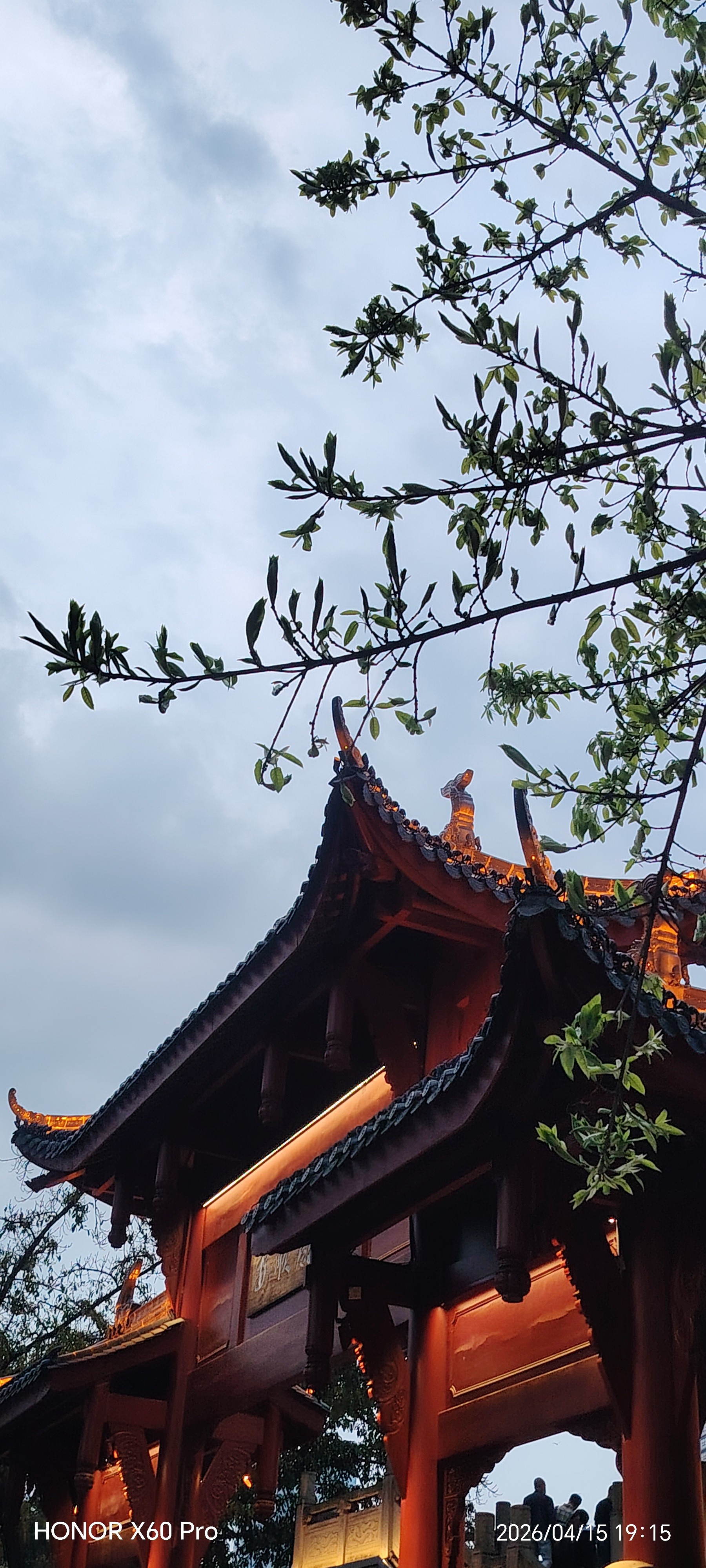 图片附件