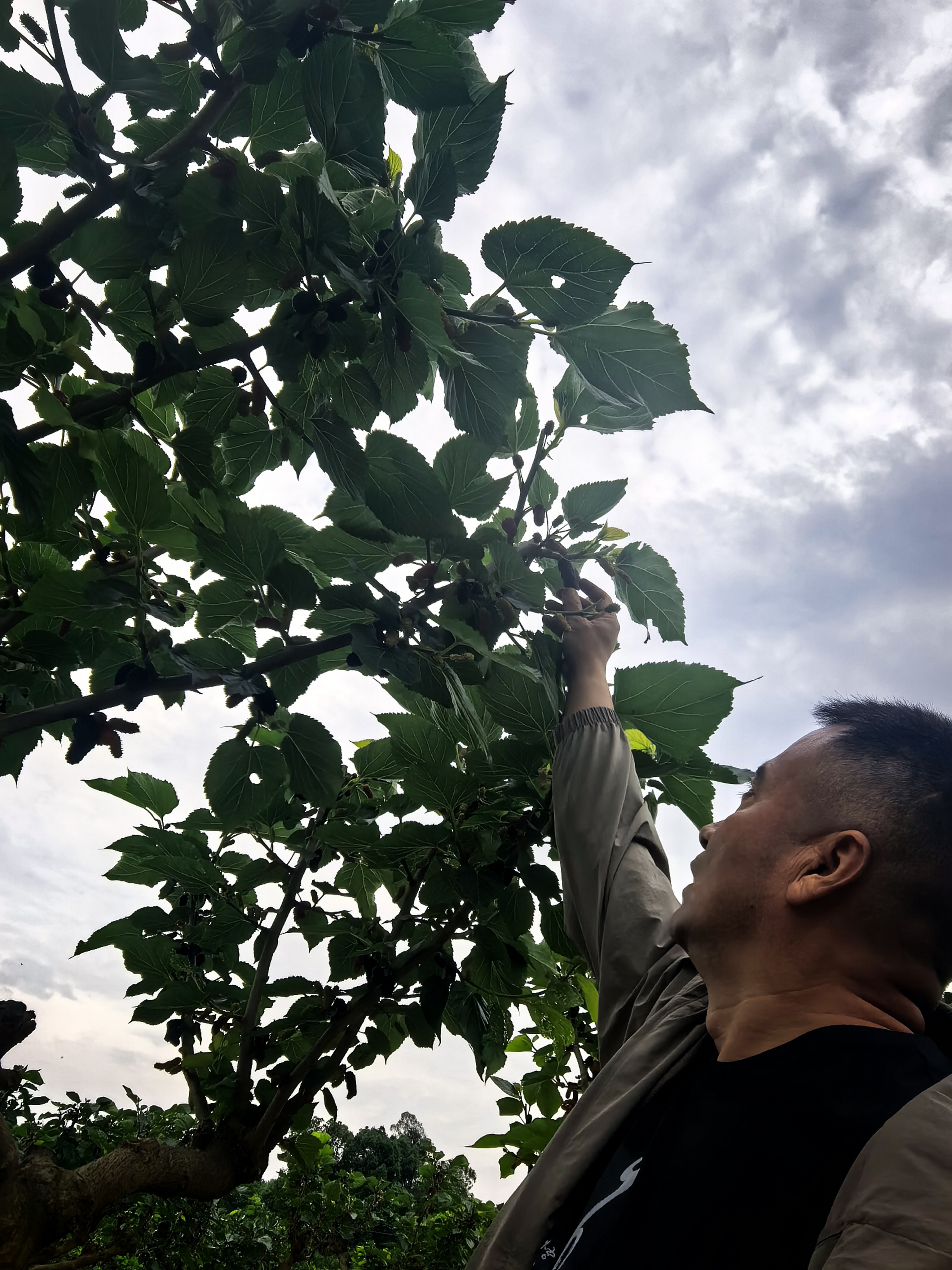 图片附件