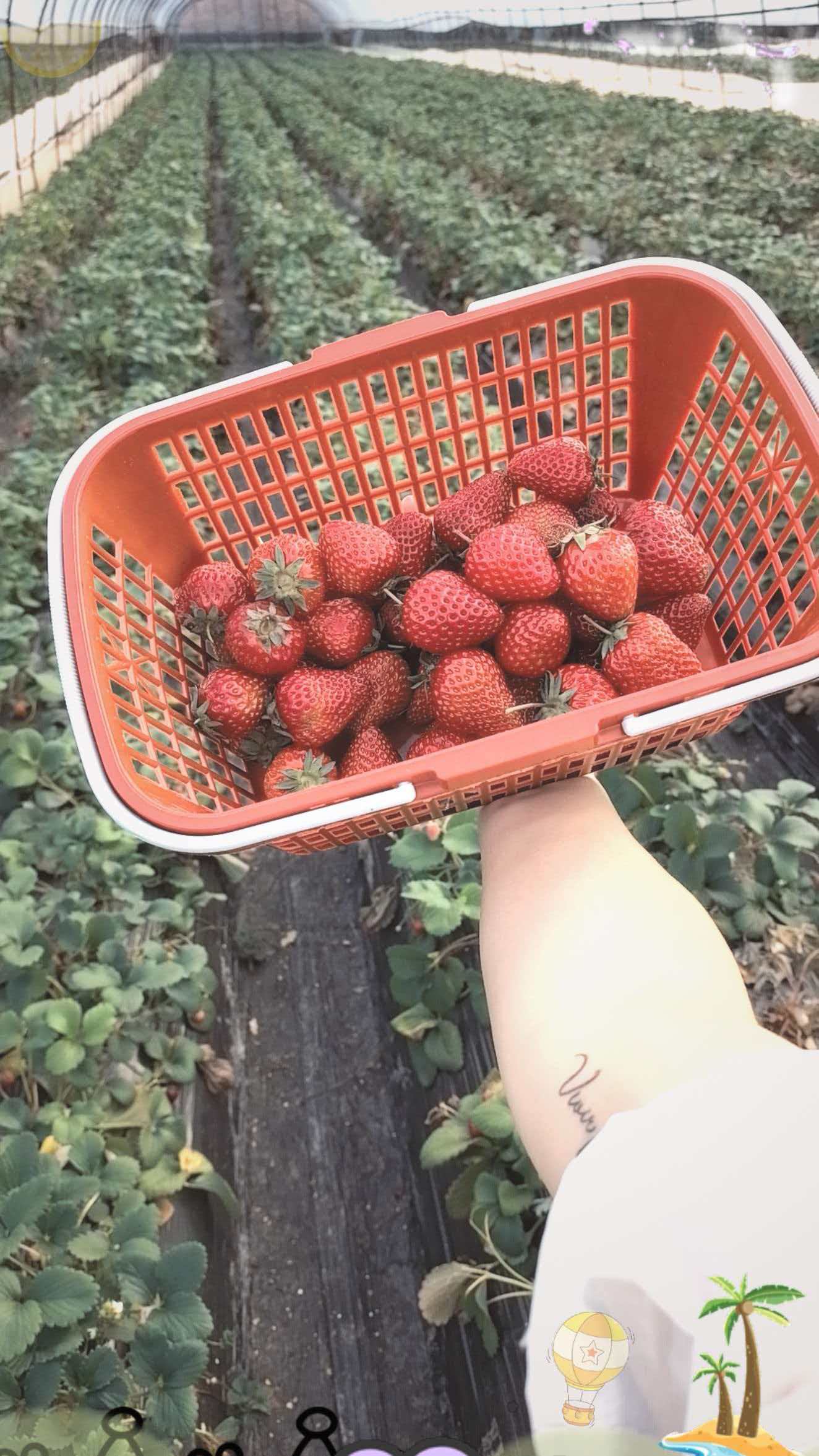 图片附件