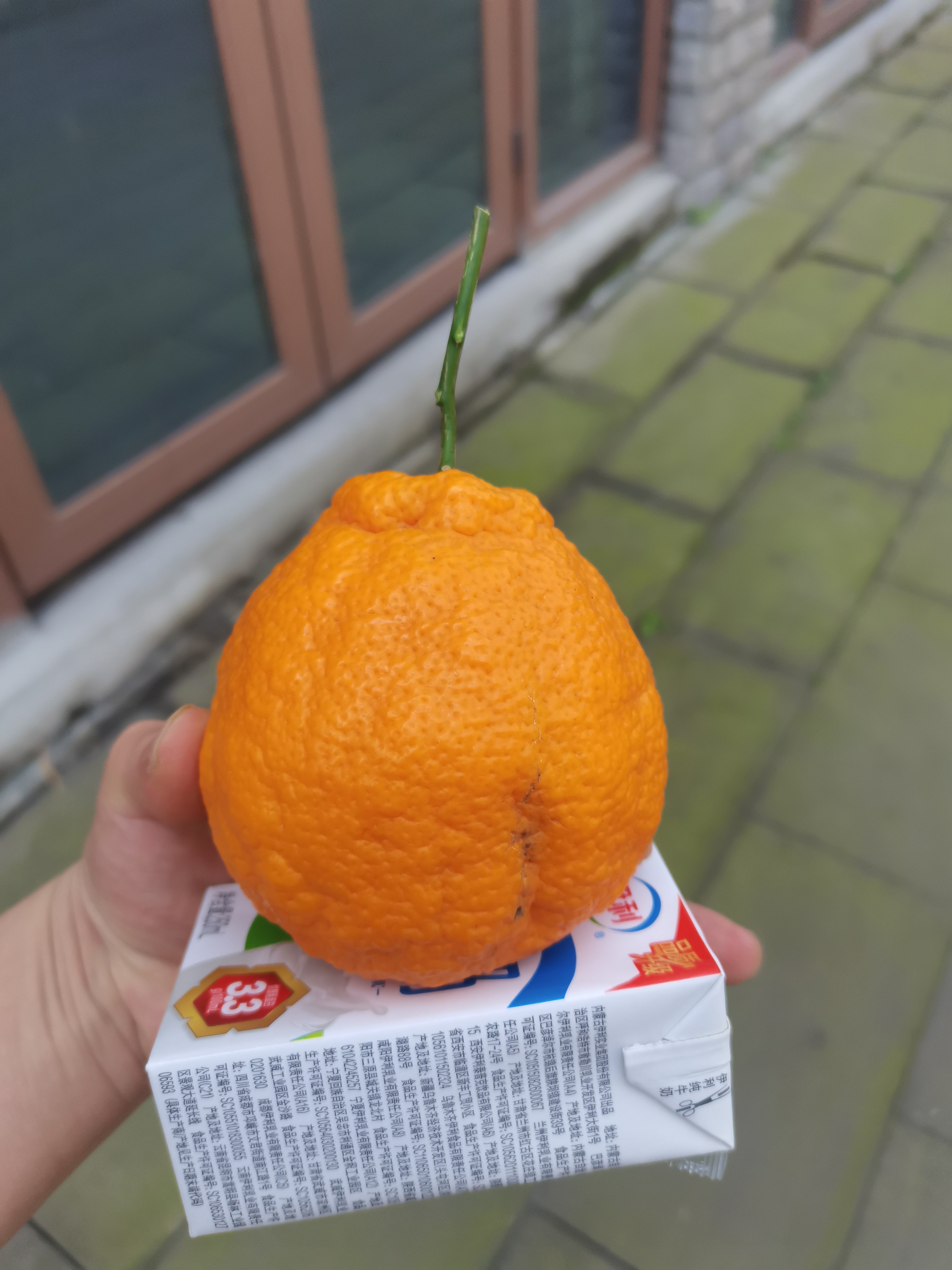 图片附件