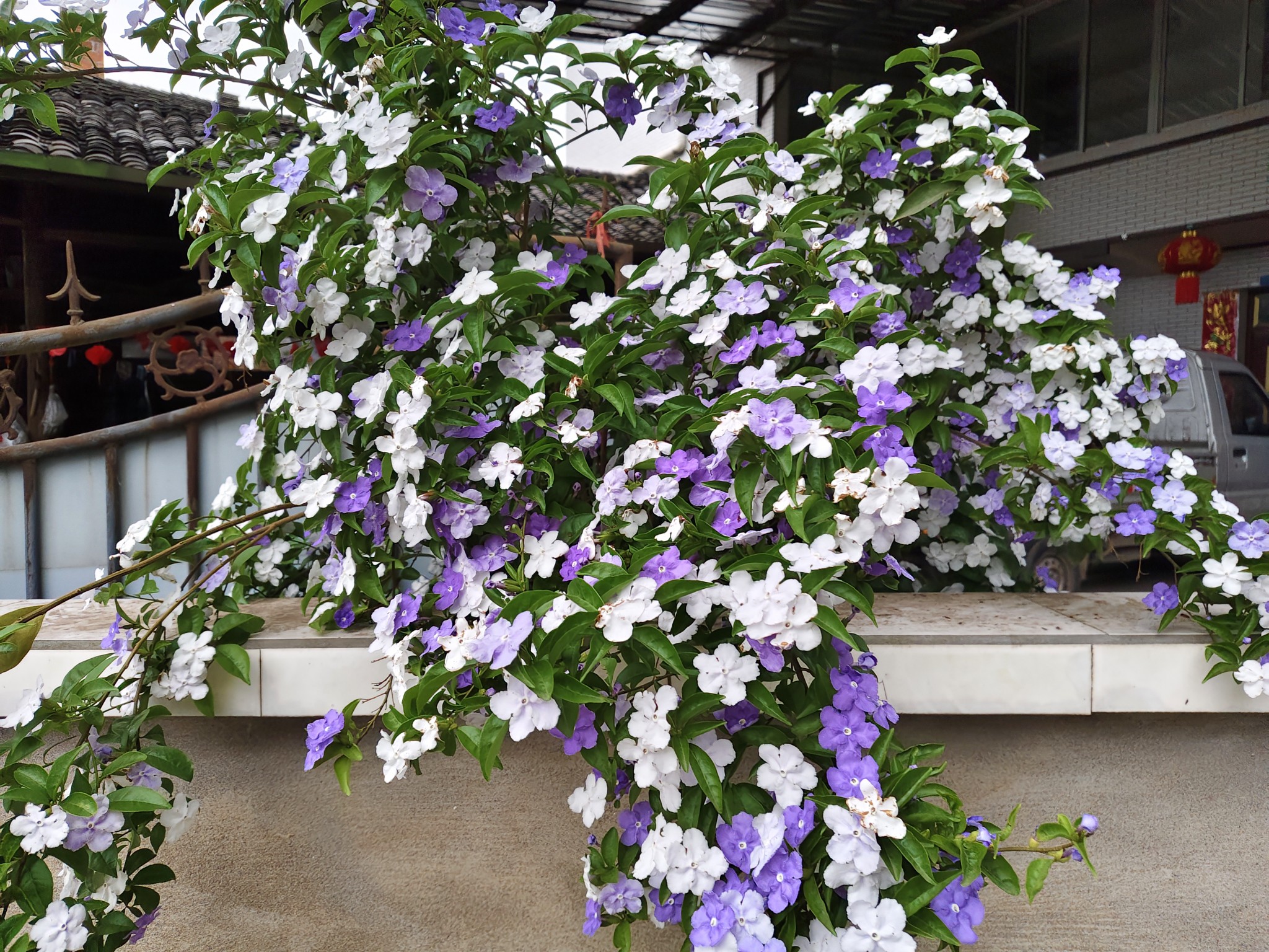 图片附件