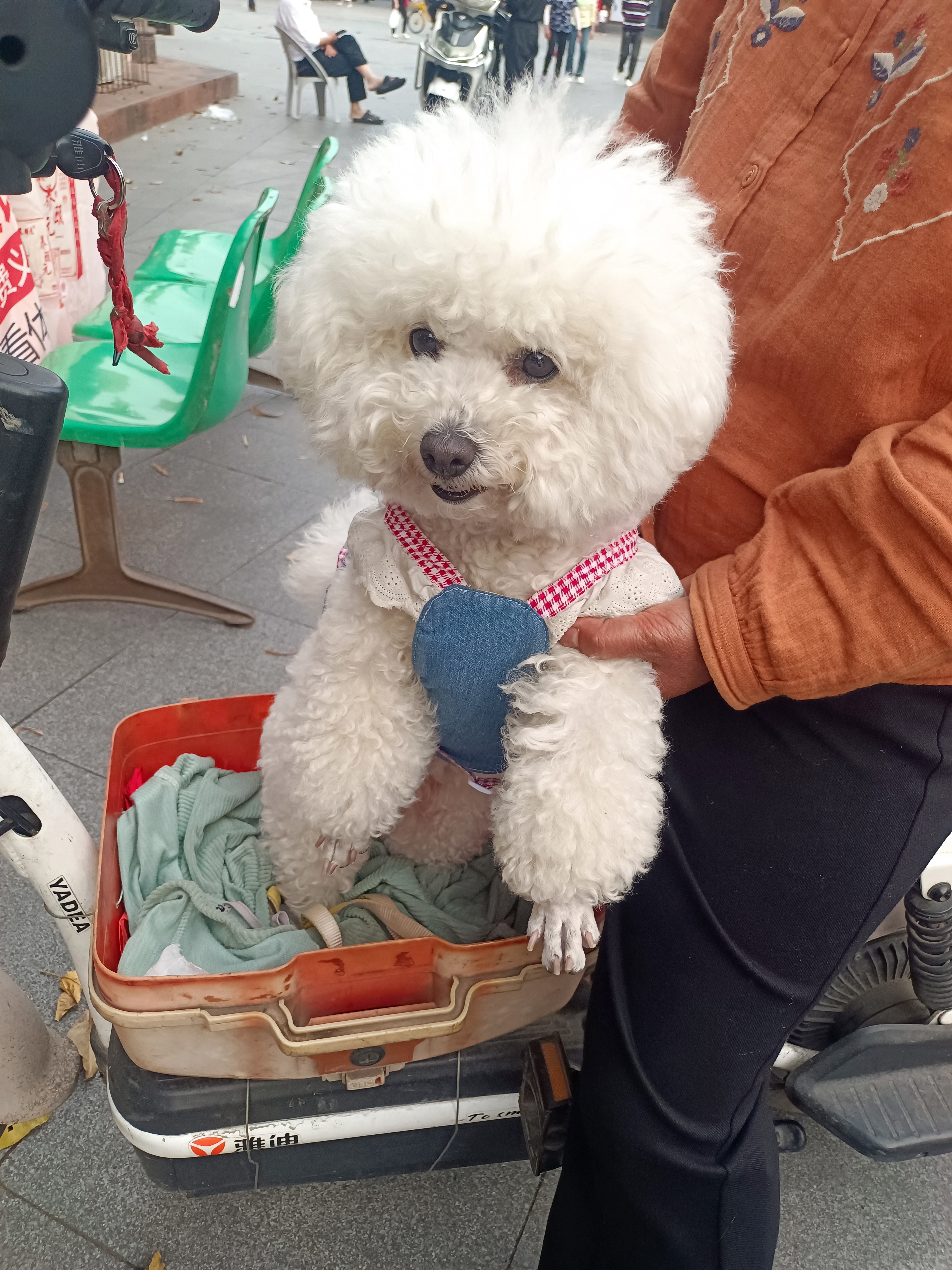 图片附件