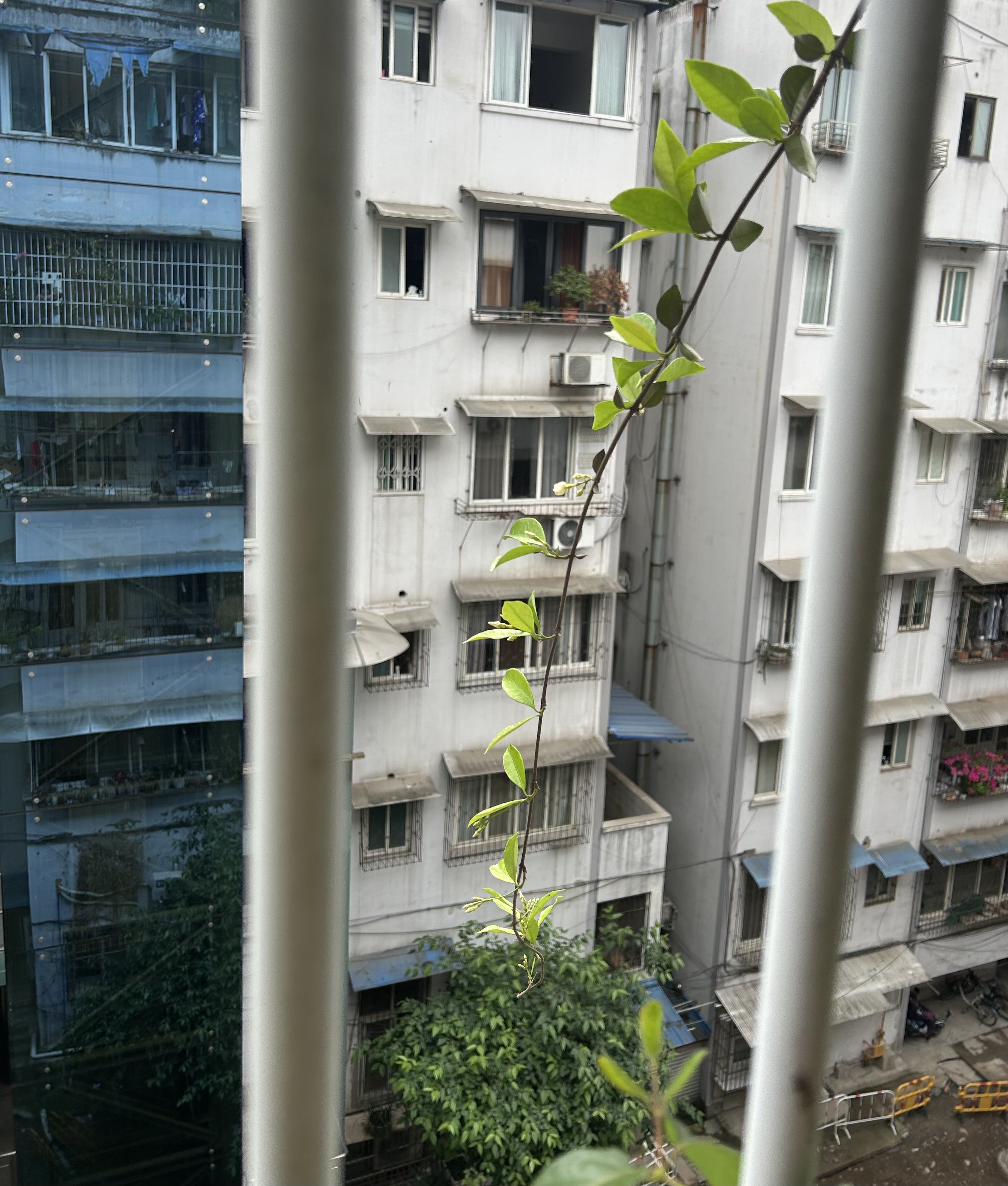 图片附件