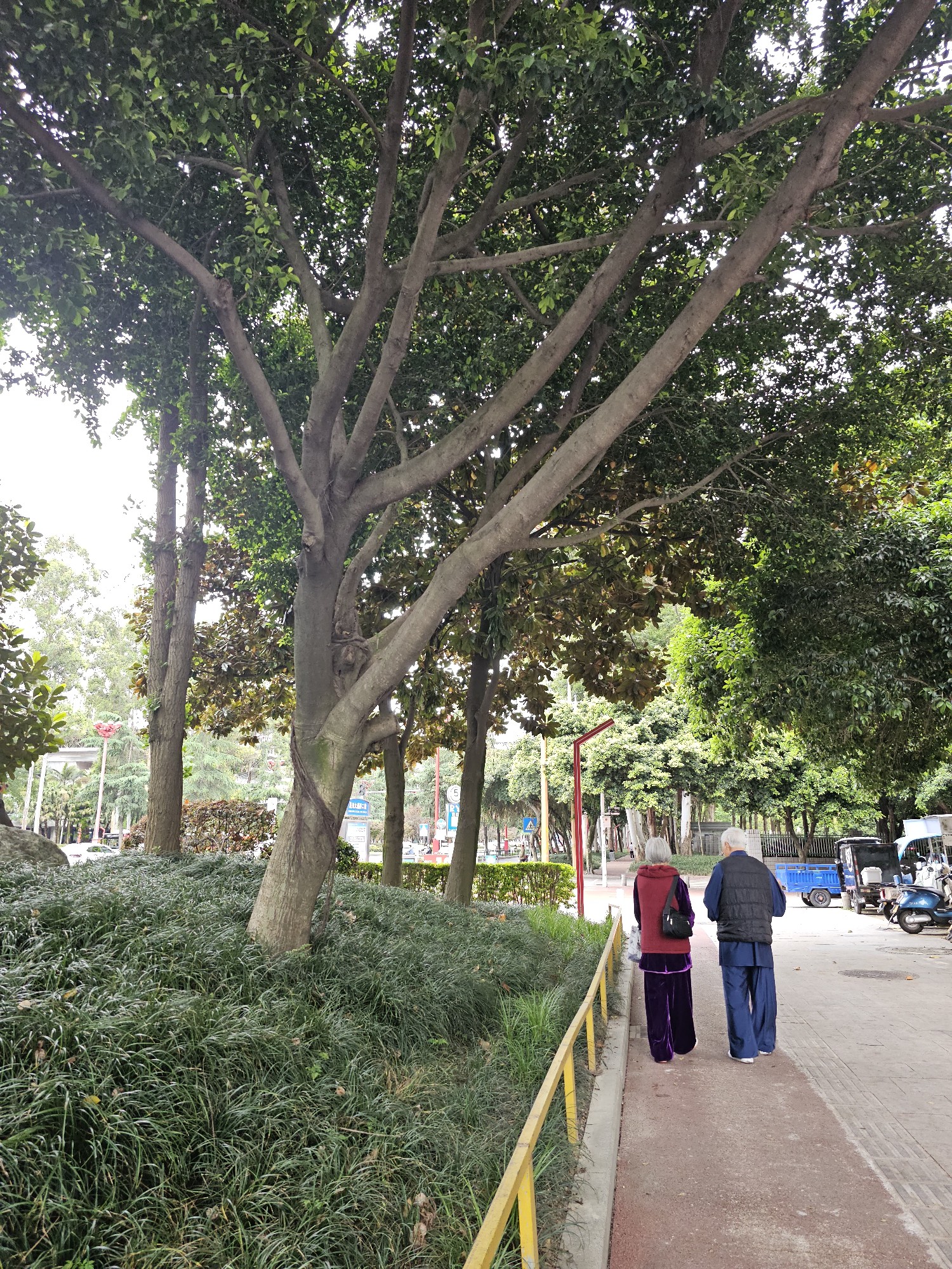 图片附件