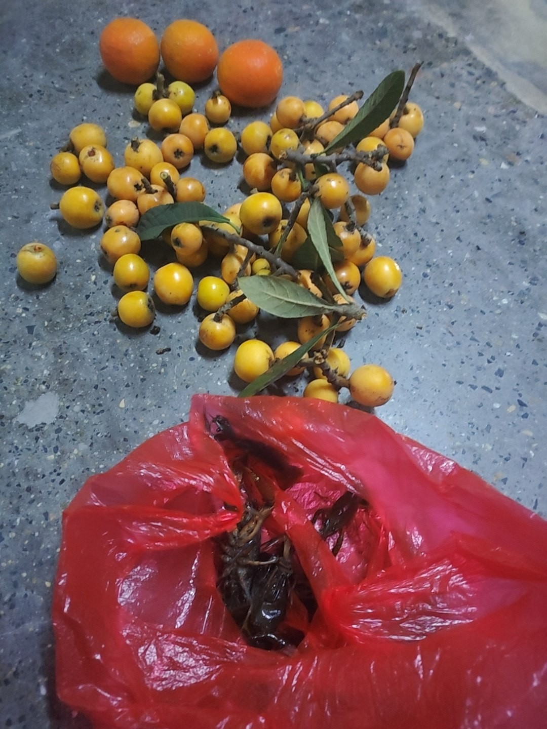 图片附件