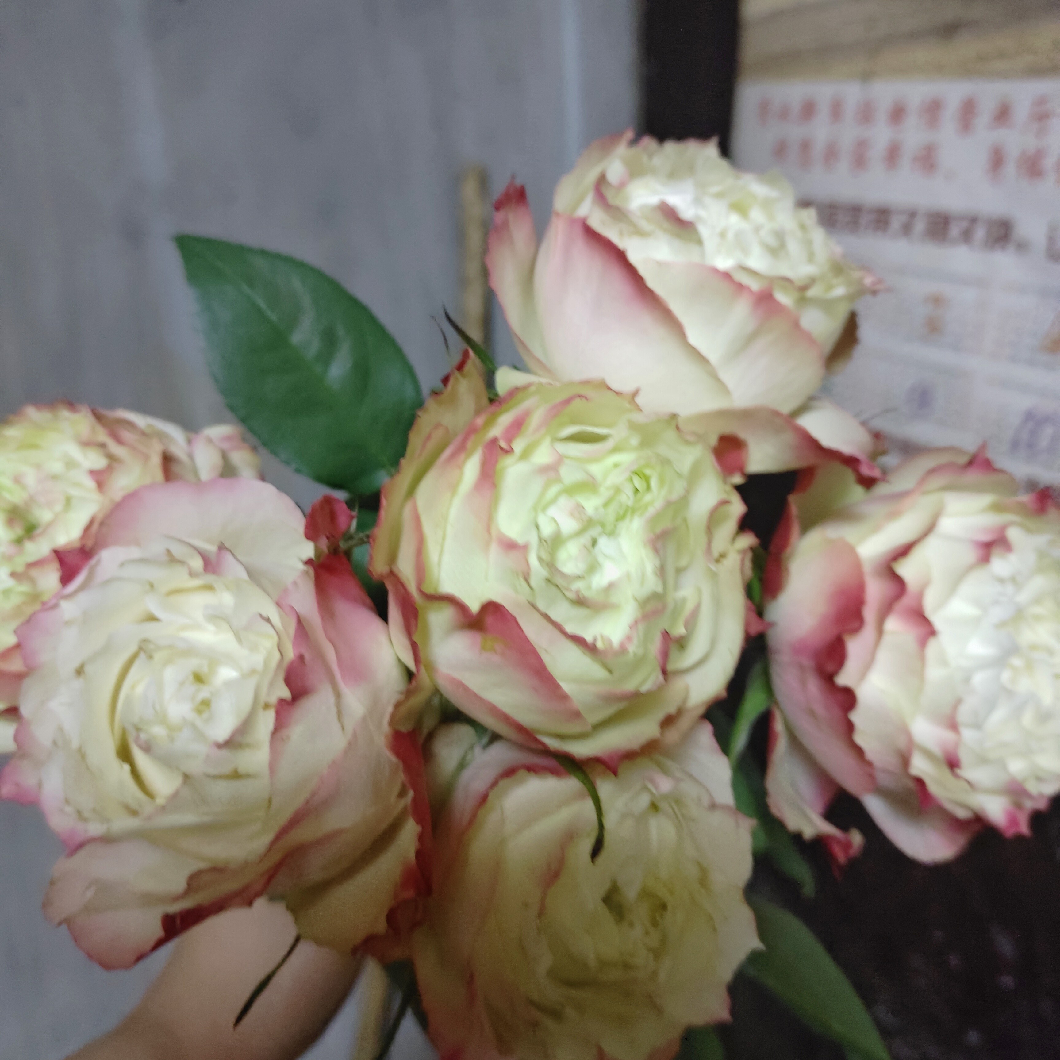 图片附件