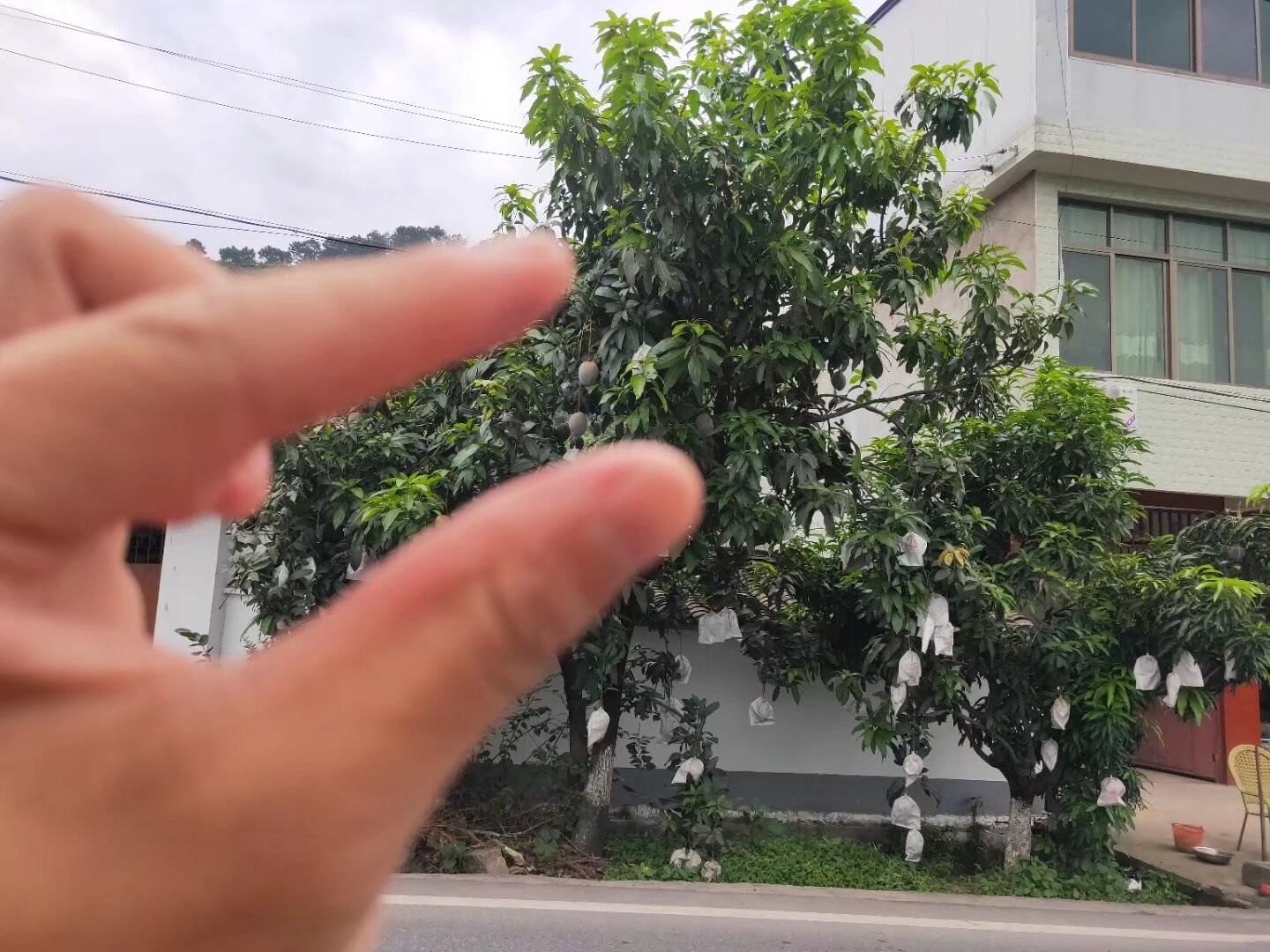 图片附件