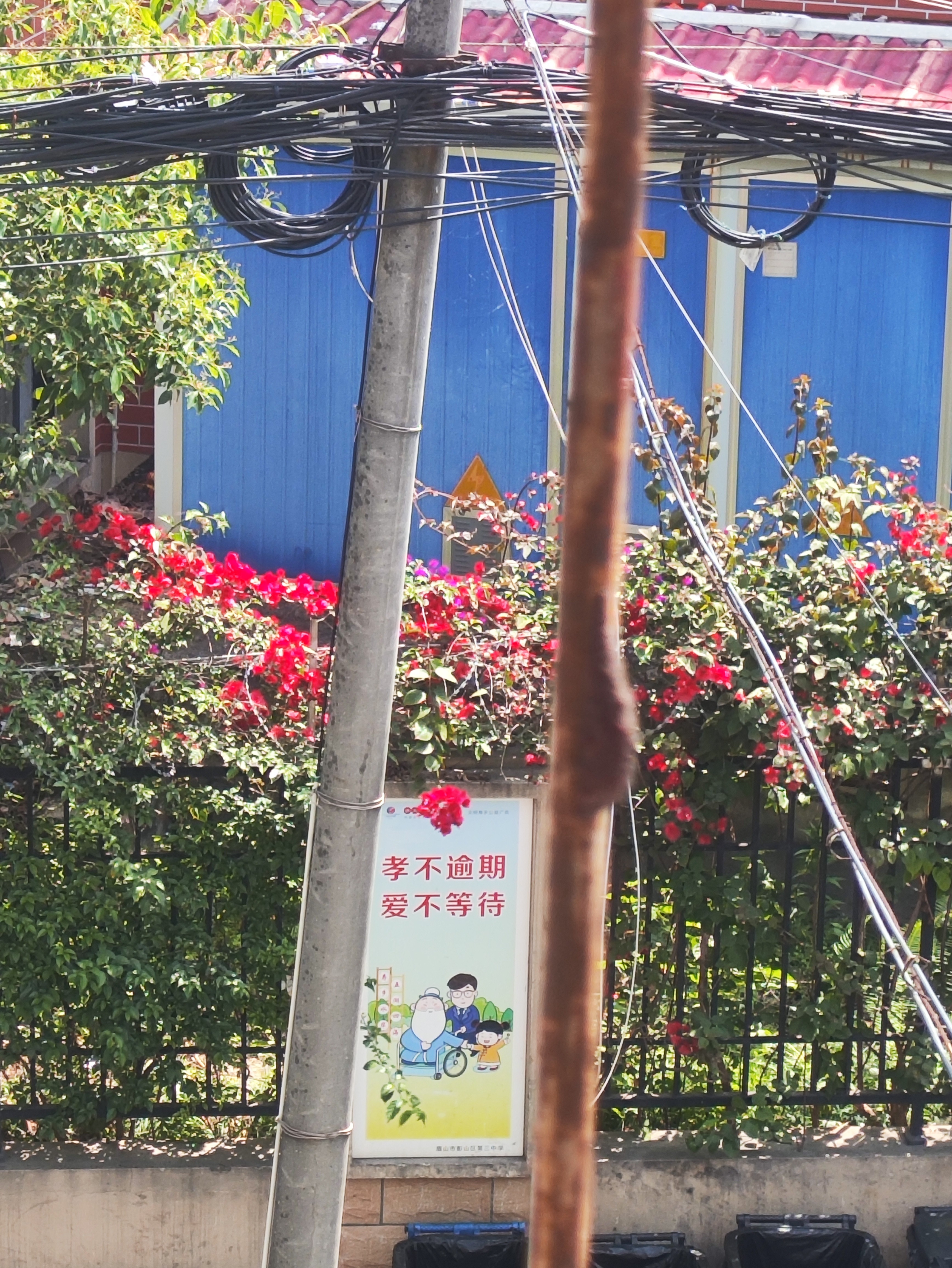 图片附件