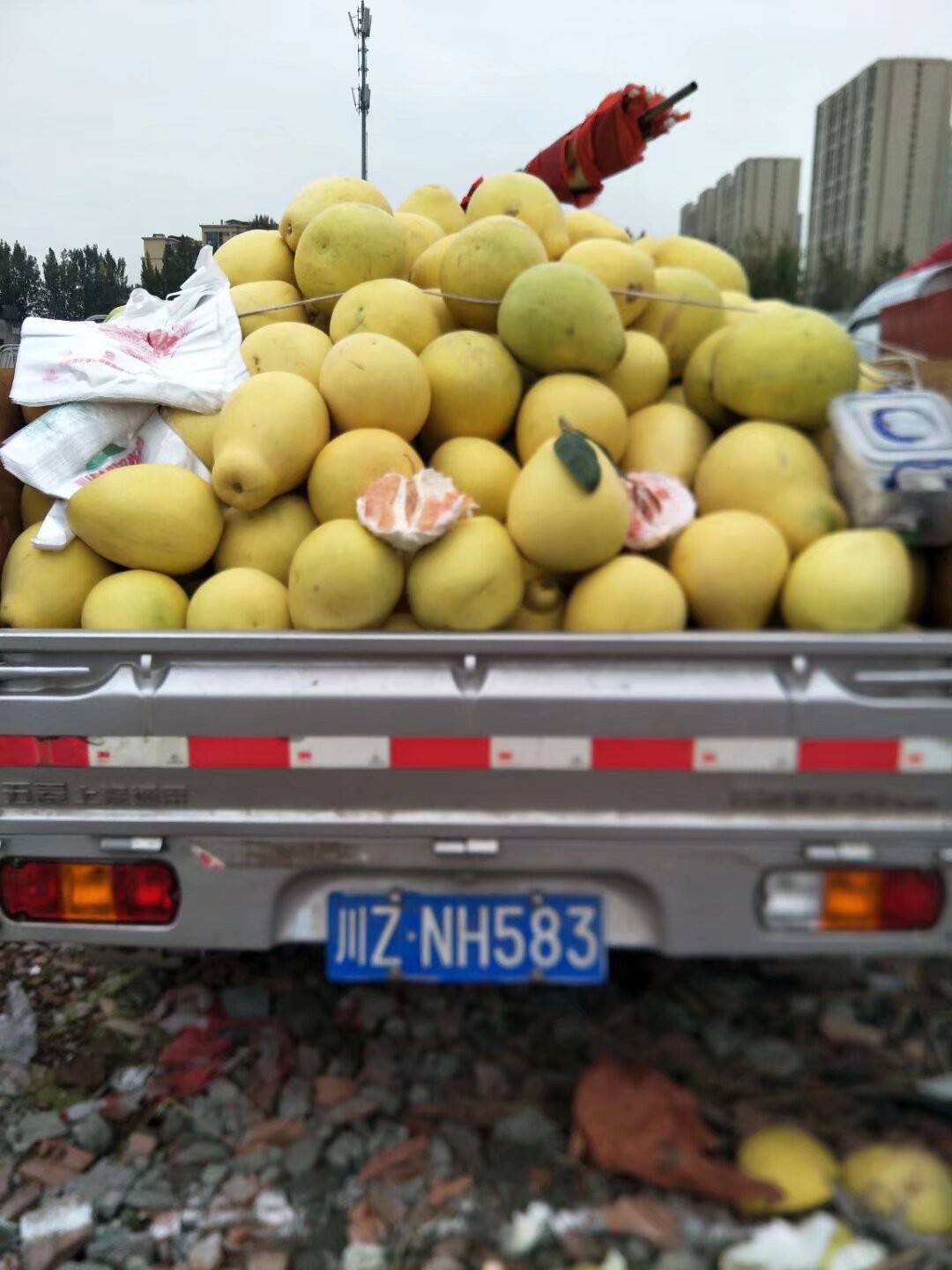 图片附件