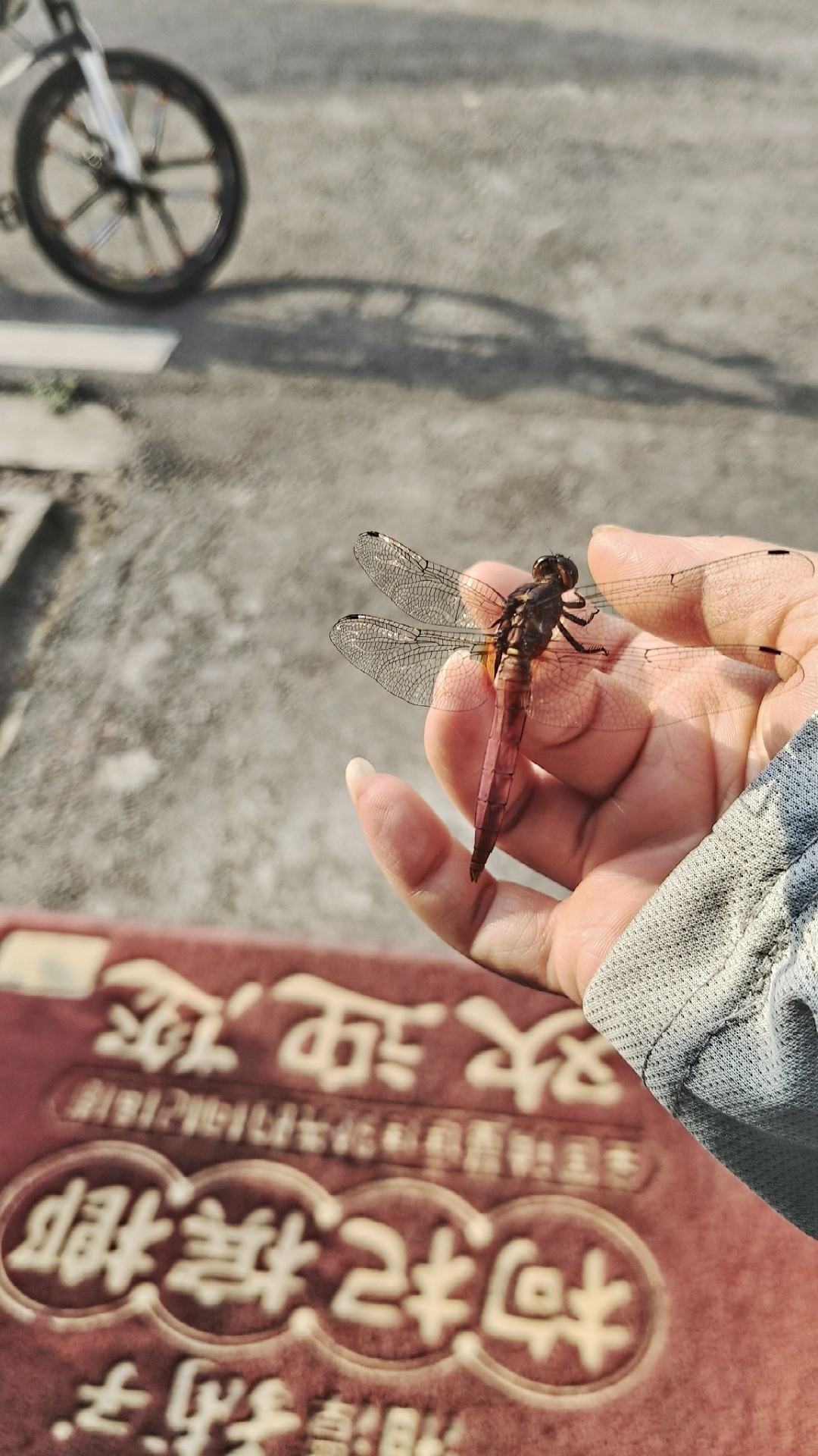 图片附件