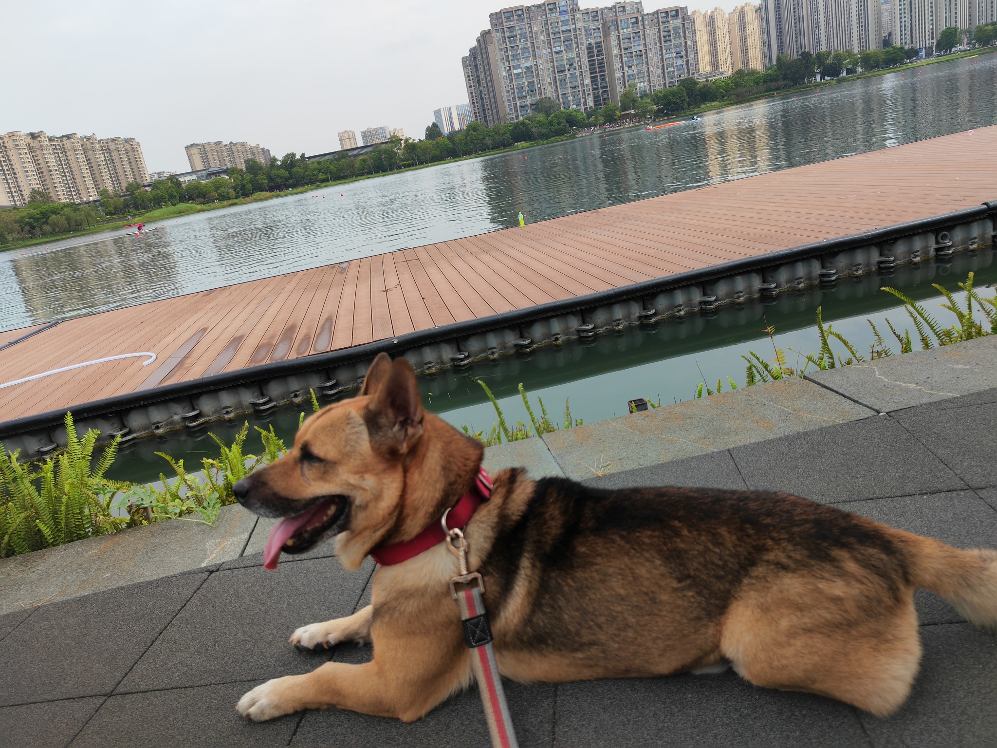 图片附件