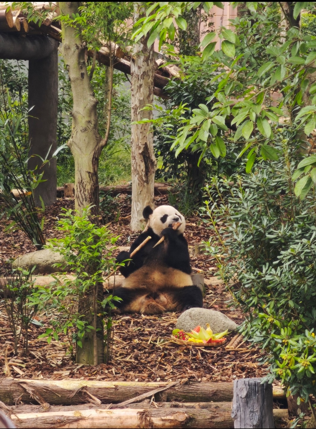 图片附件