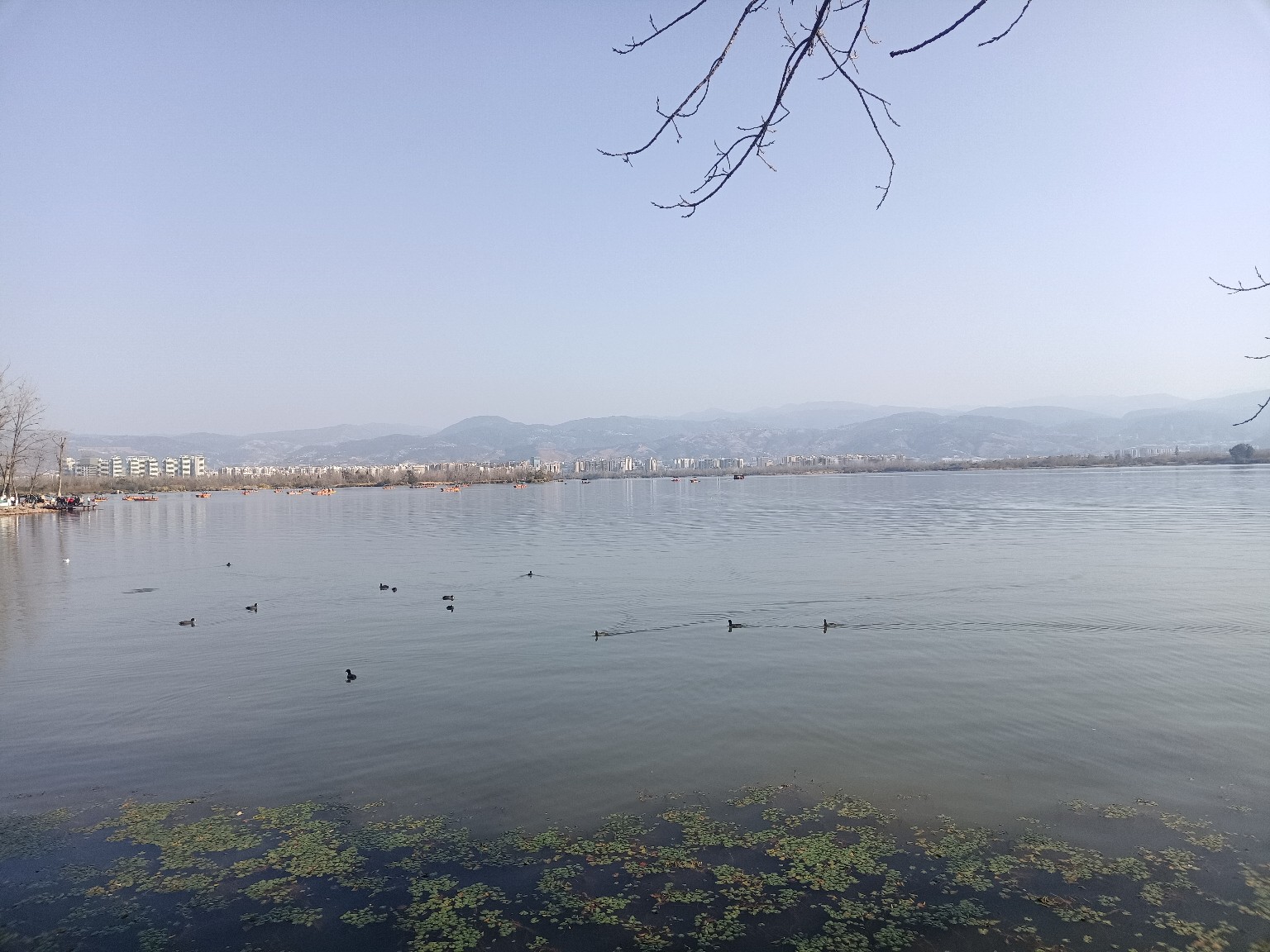图片附件