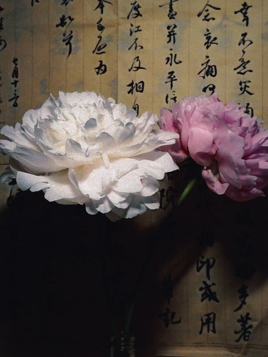 图片附件