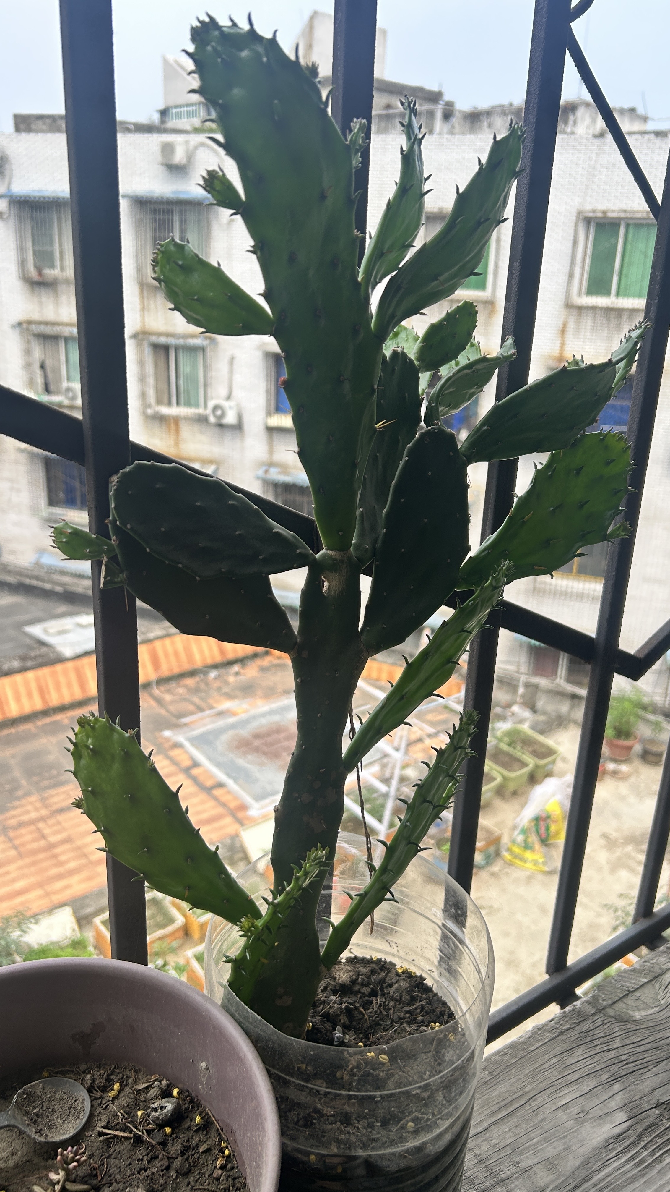 图片附件