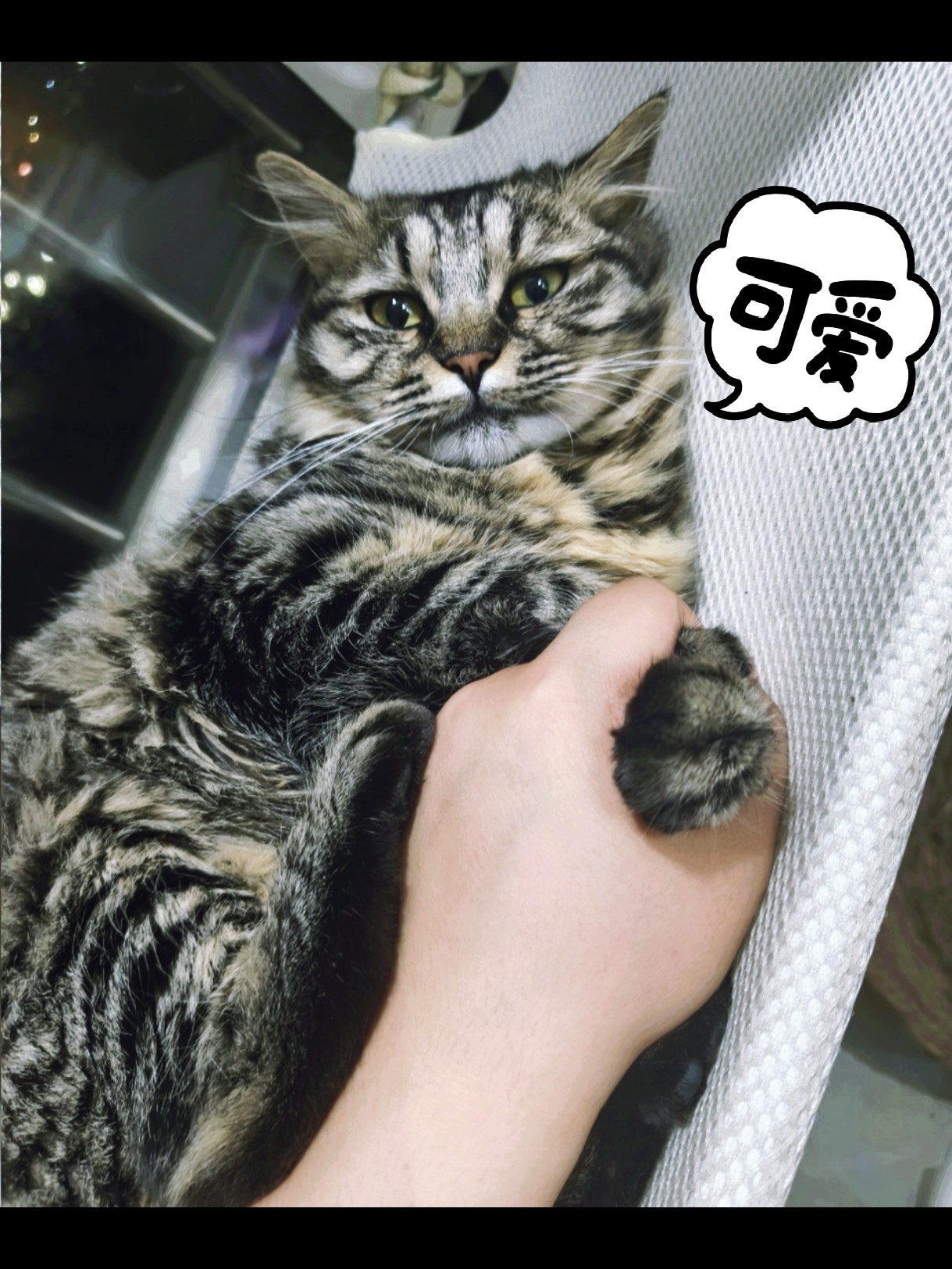 图片附件