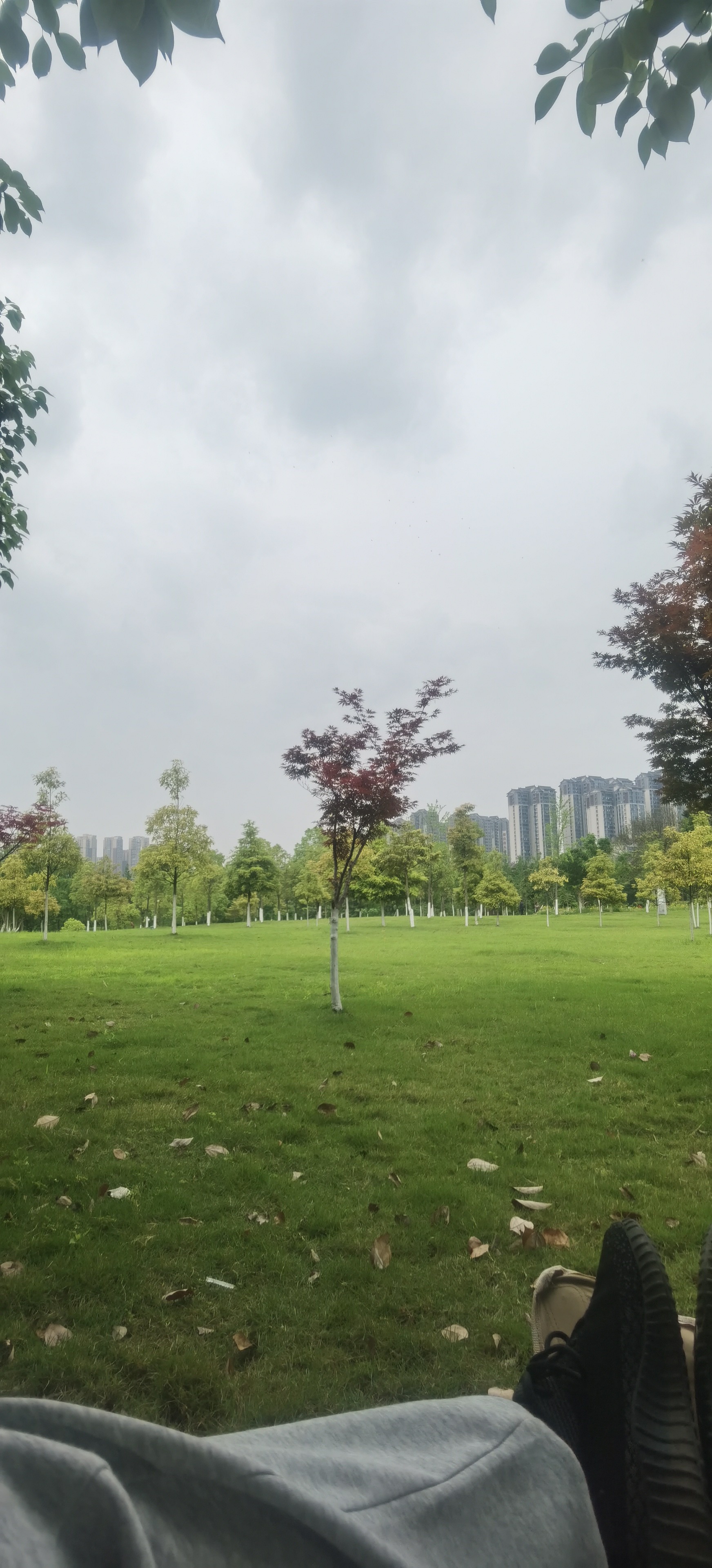 图片附件