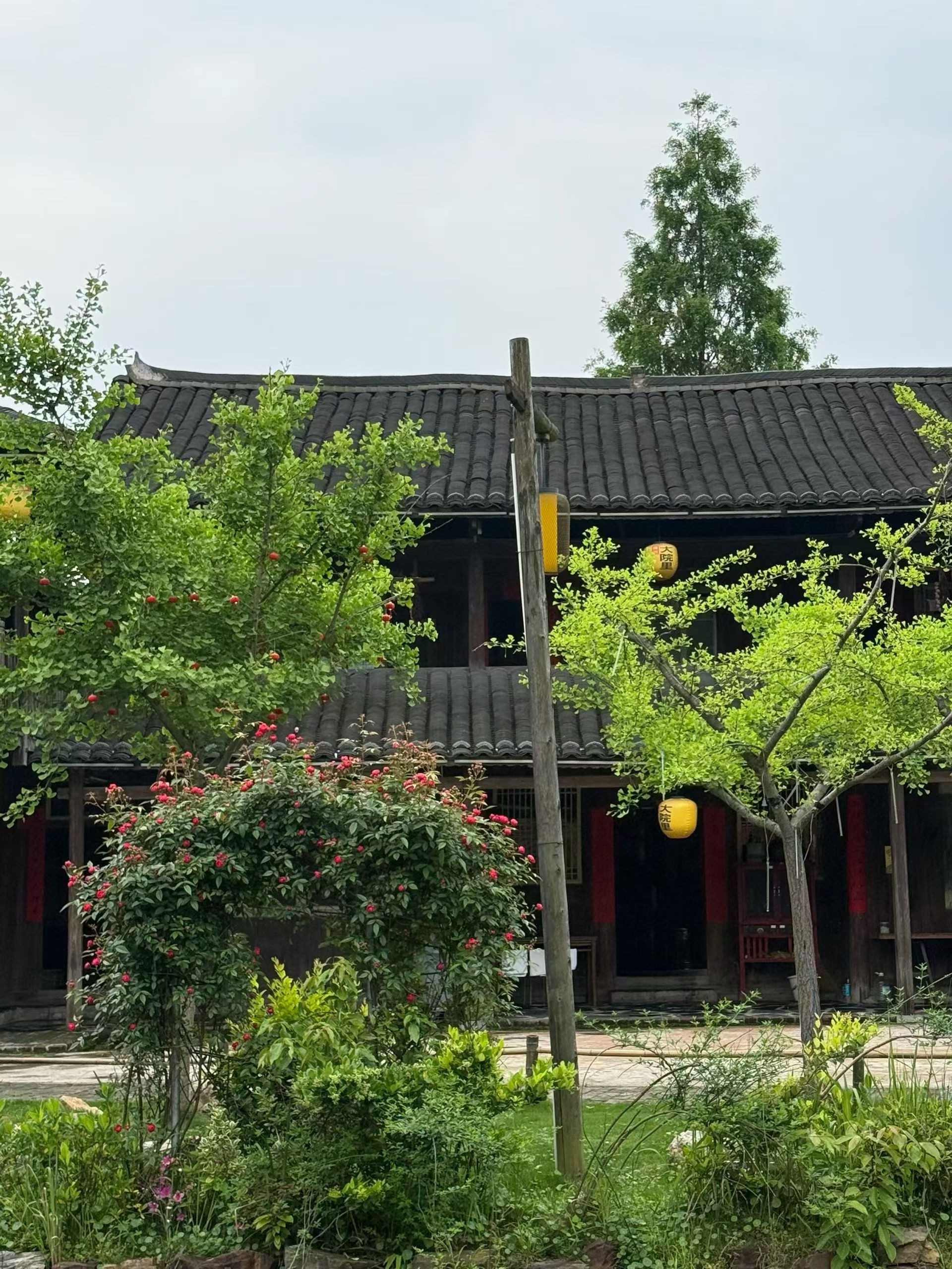 图片附件