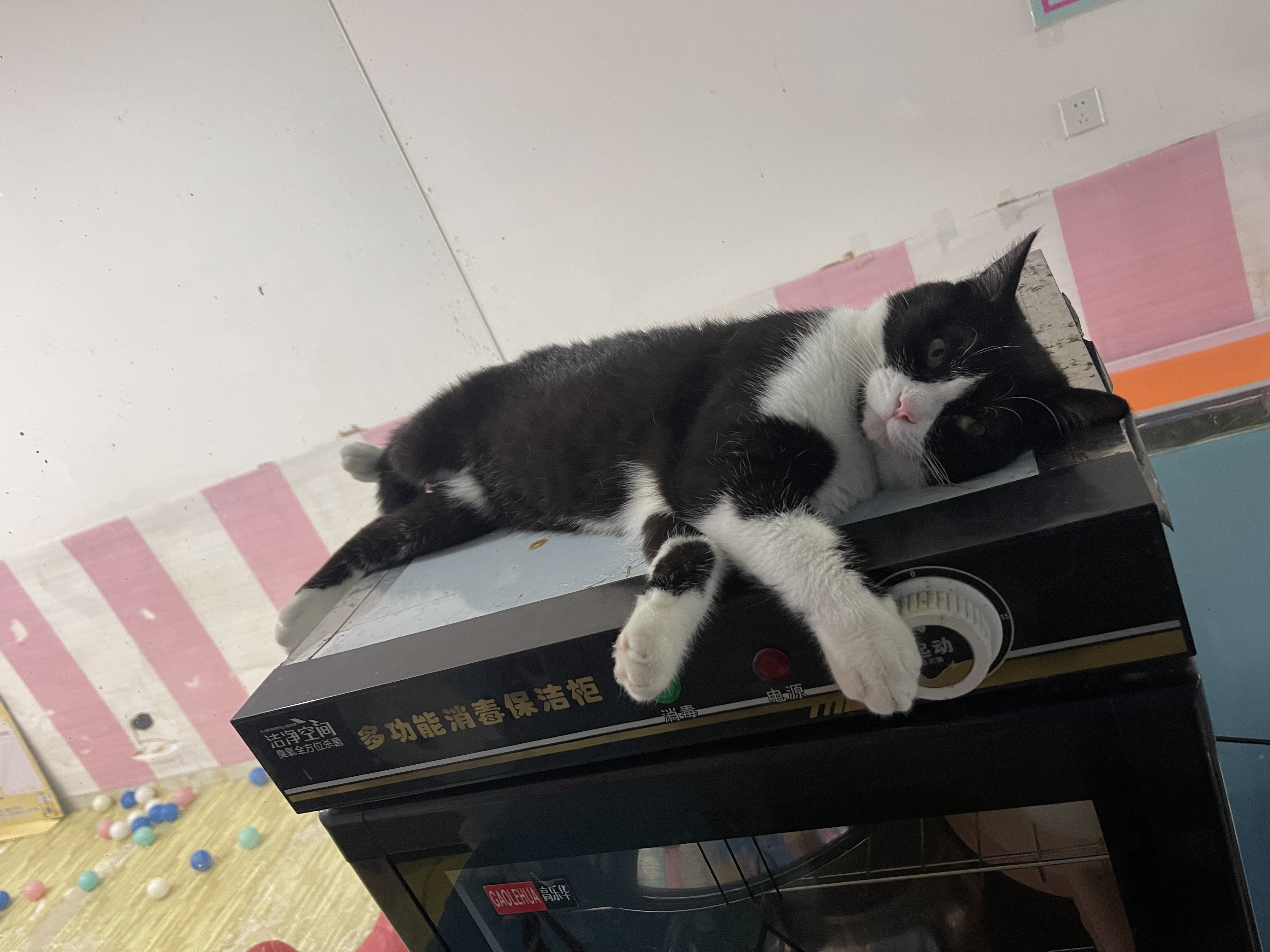 图片附件