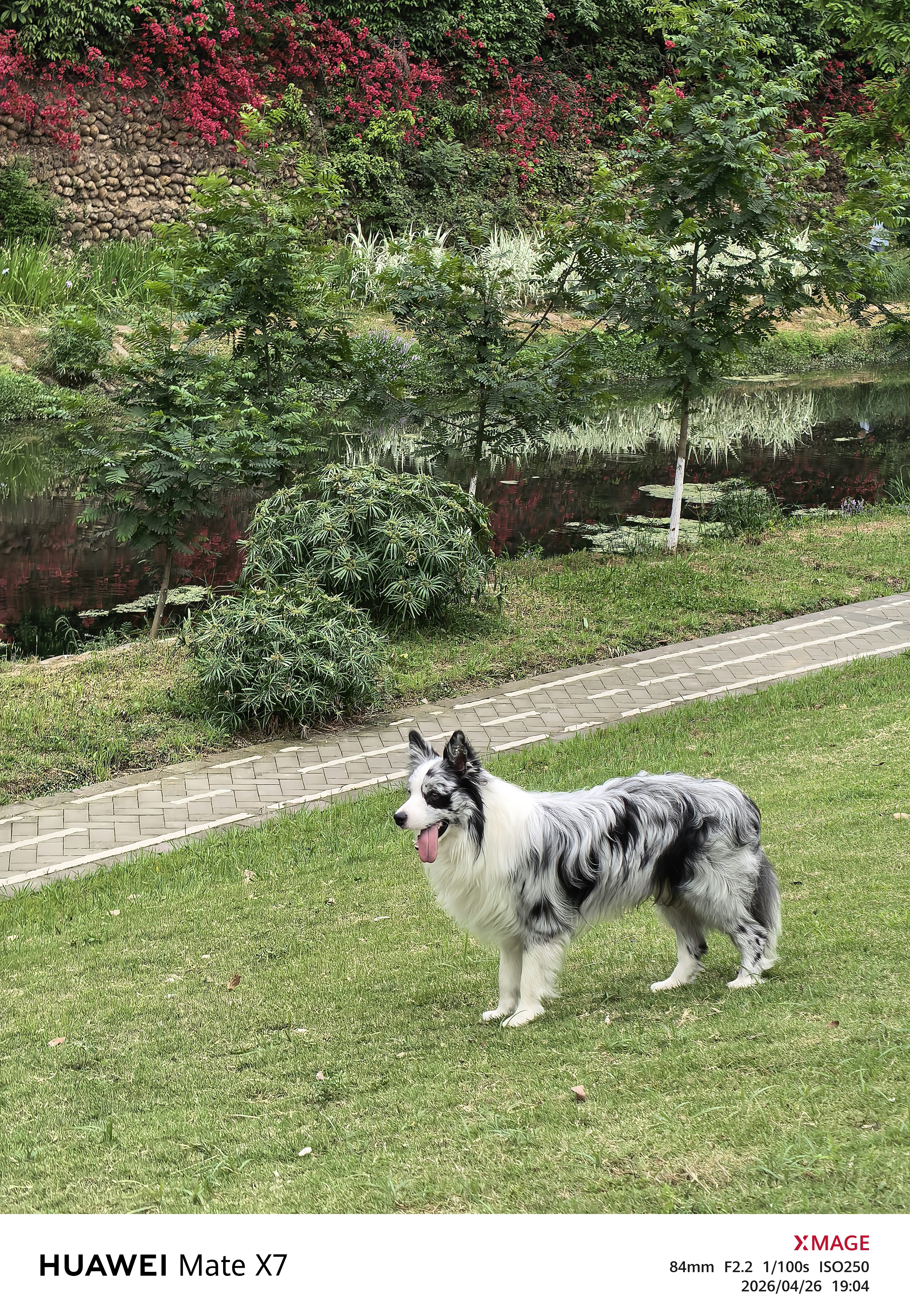 图片附件