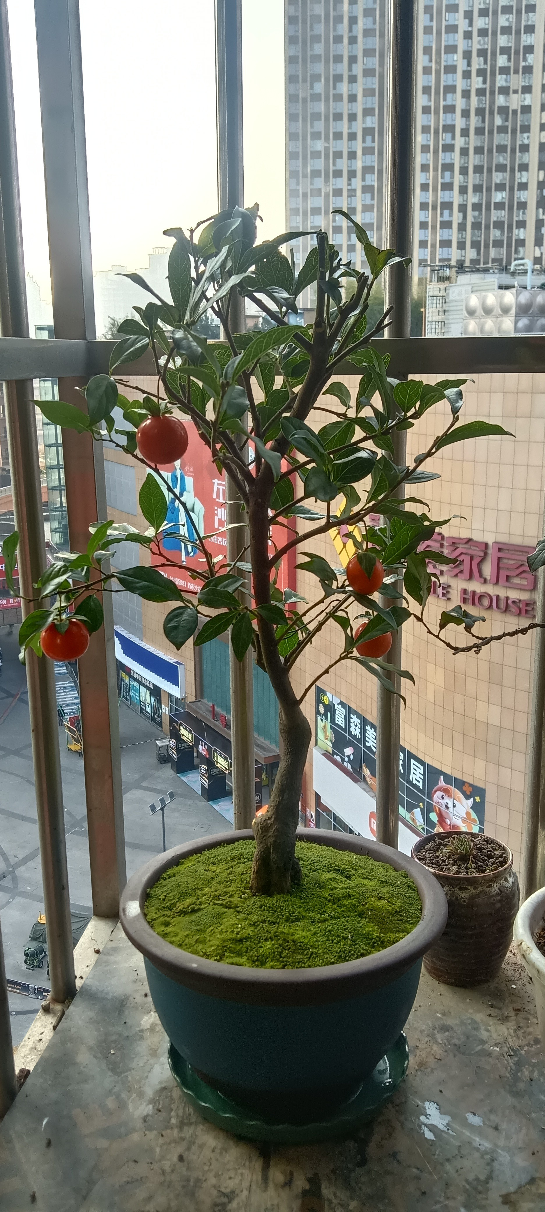 图片附件