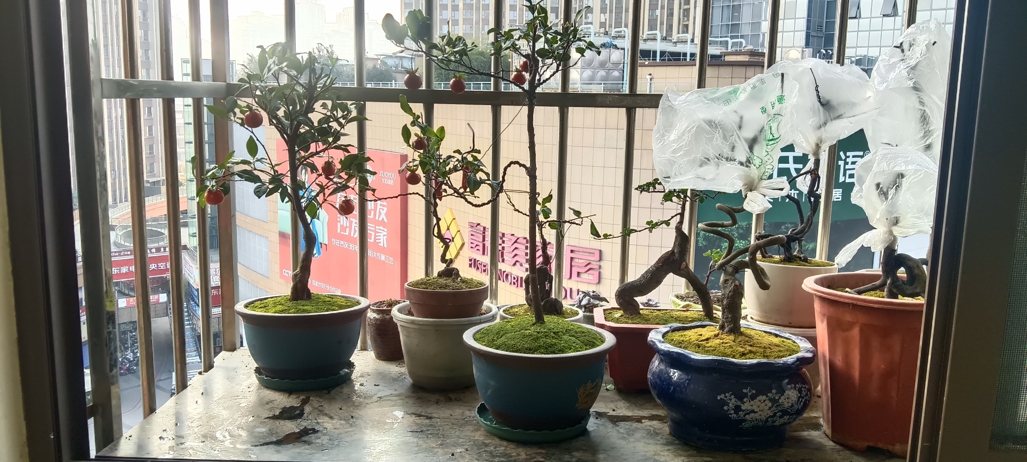 图片附件