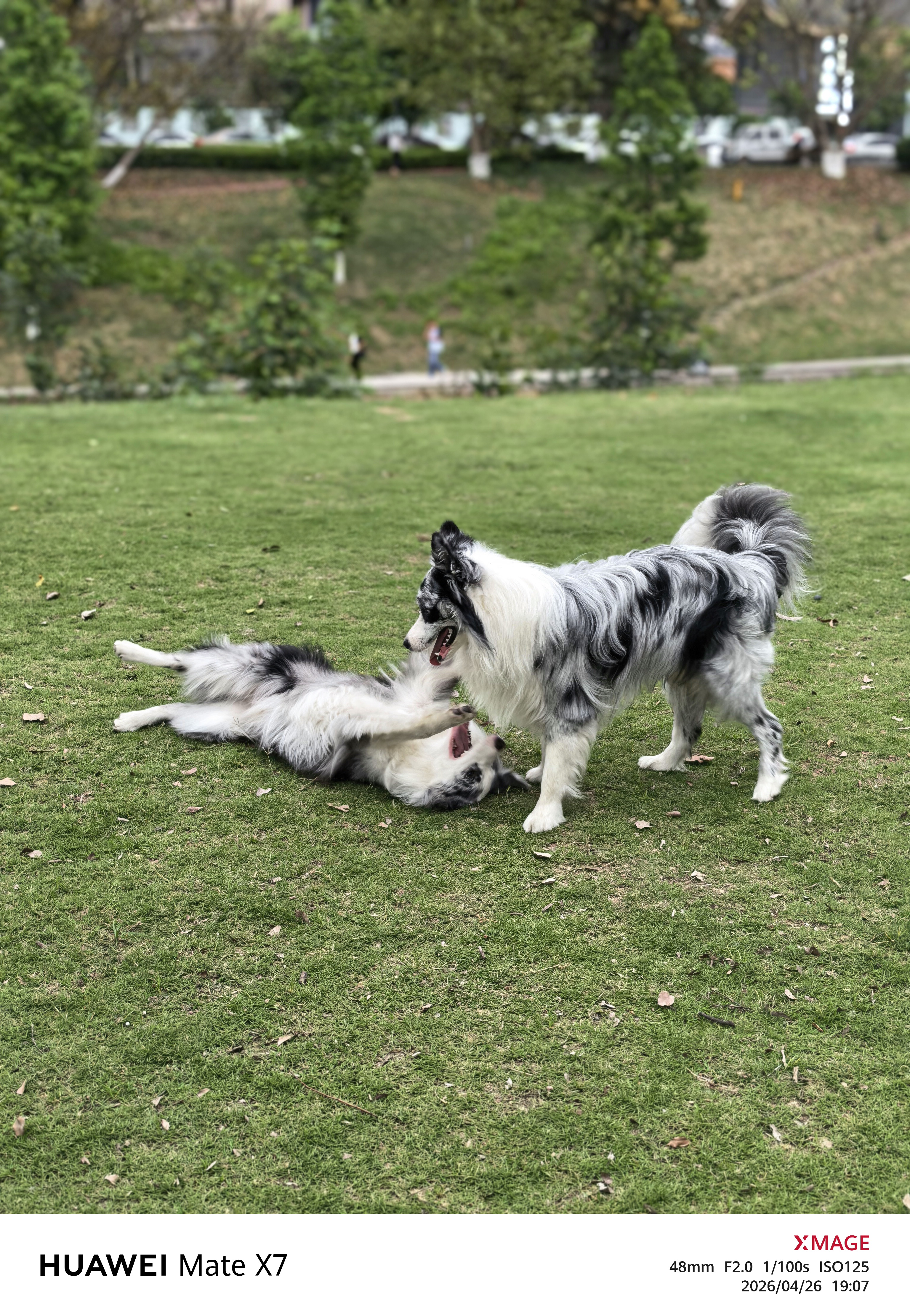 图片附件