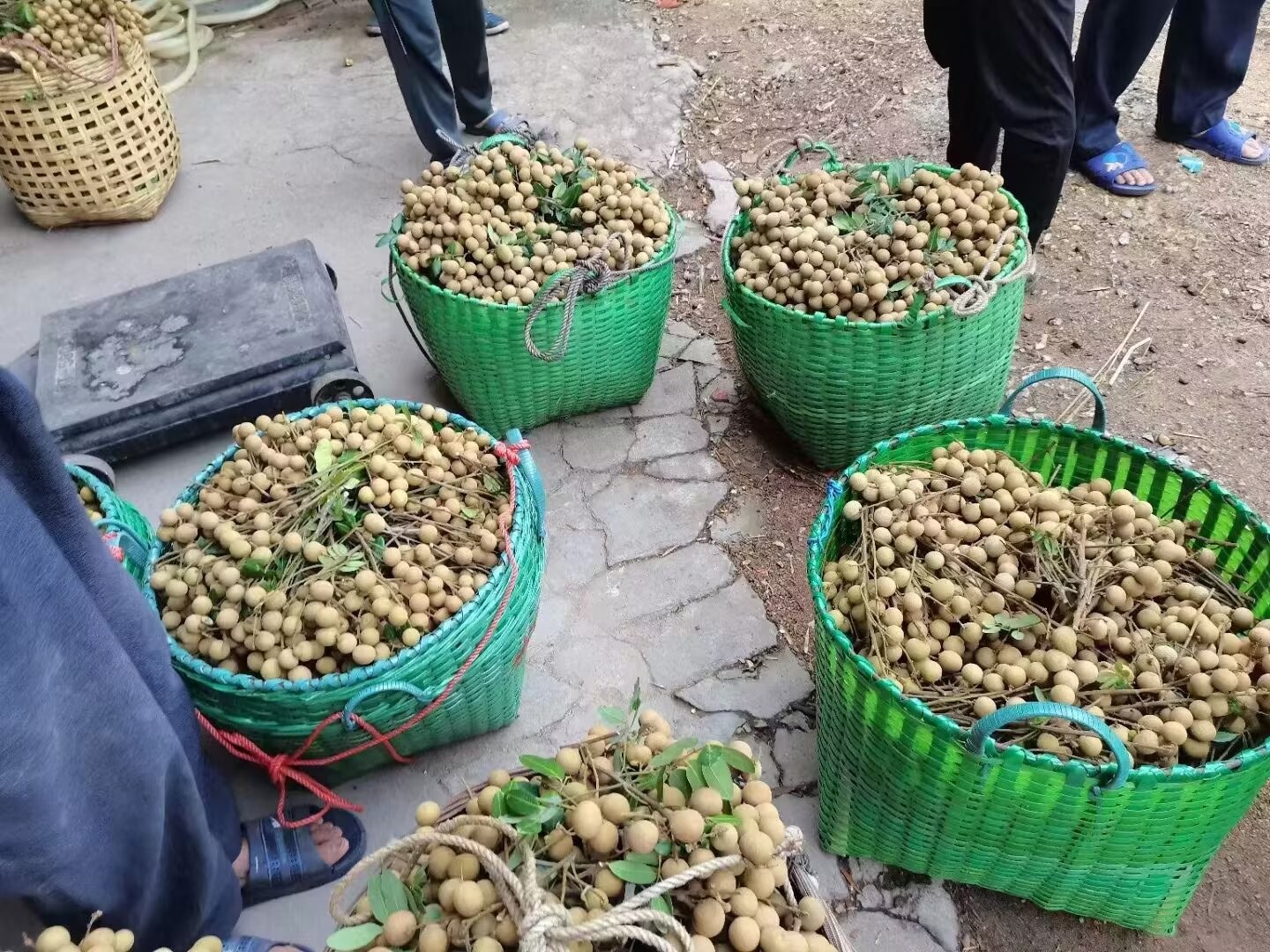 图片附件