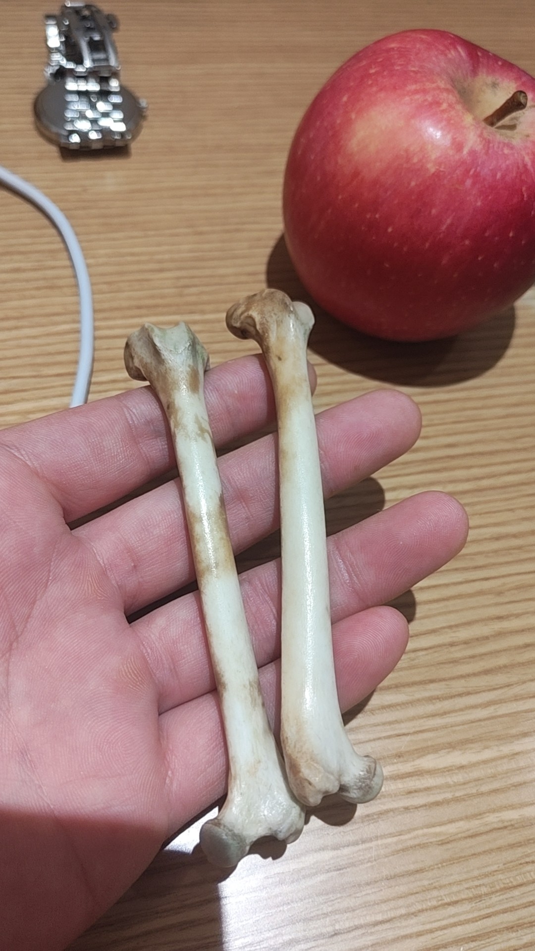图片附件