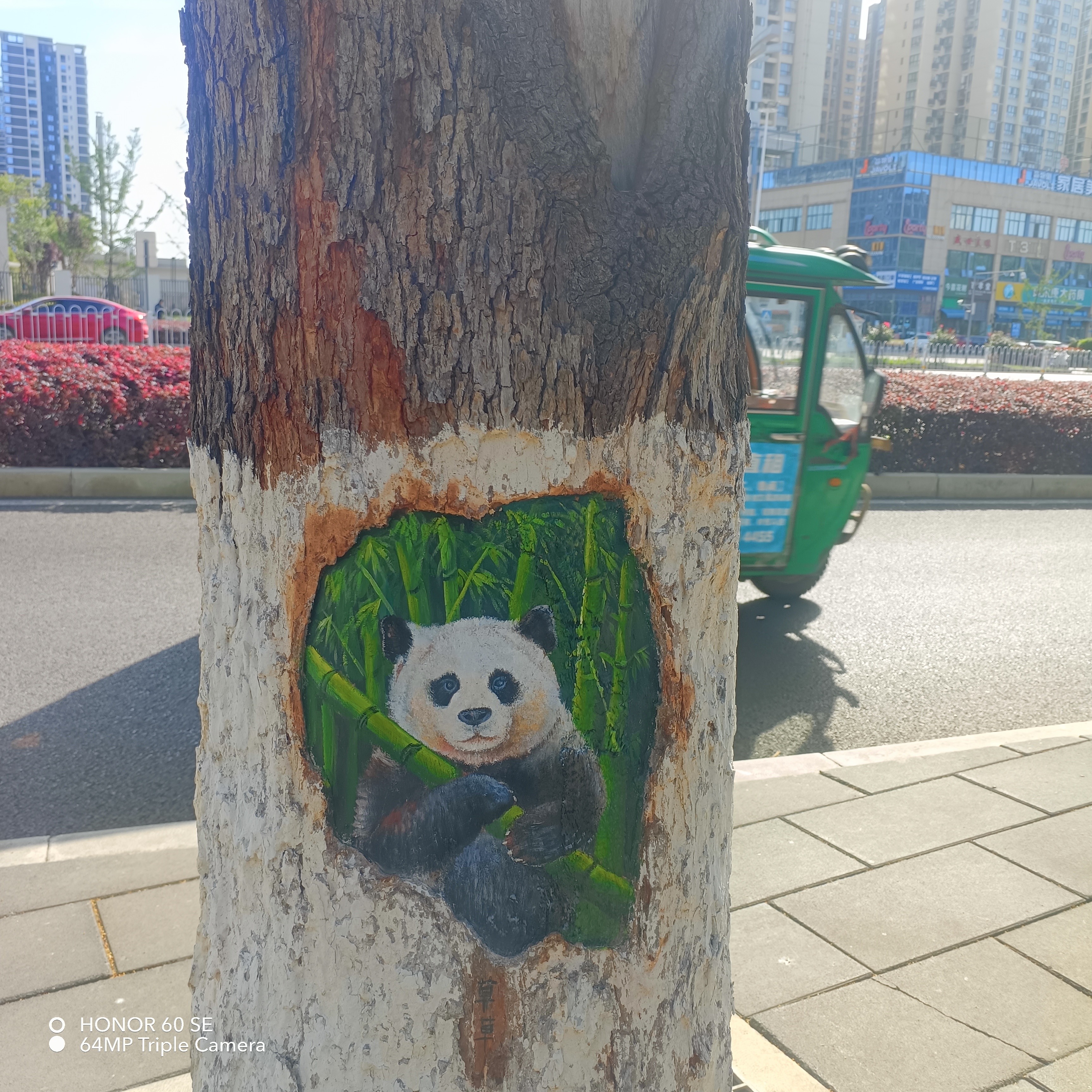 图片附件