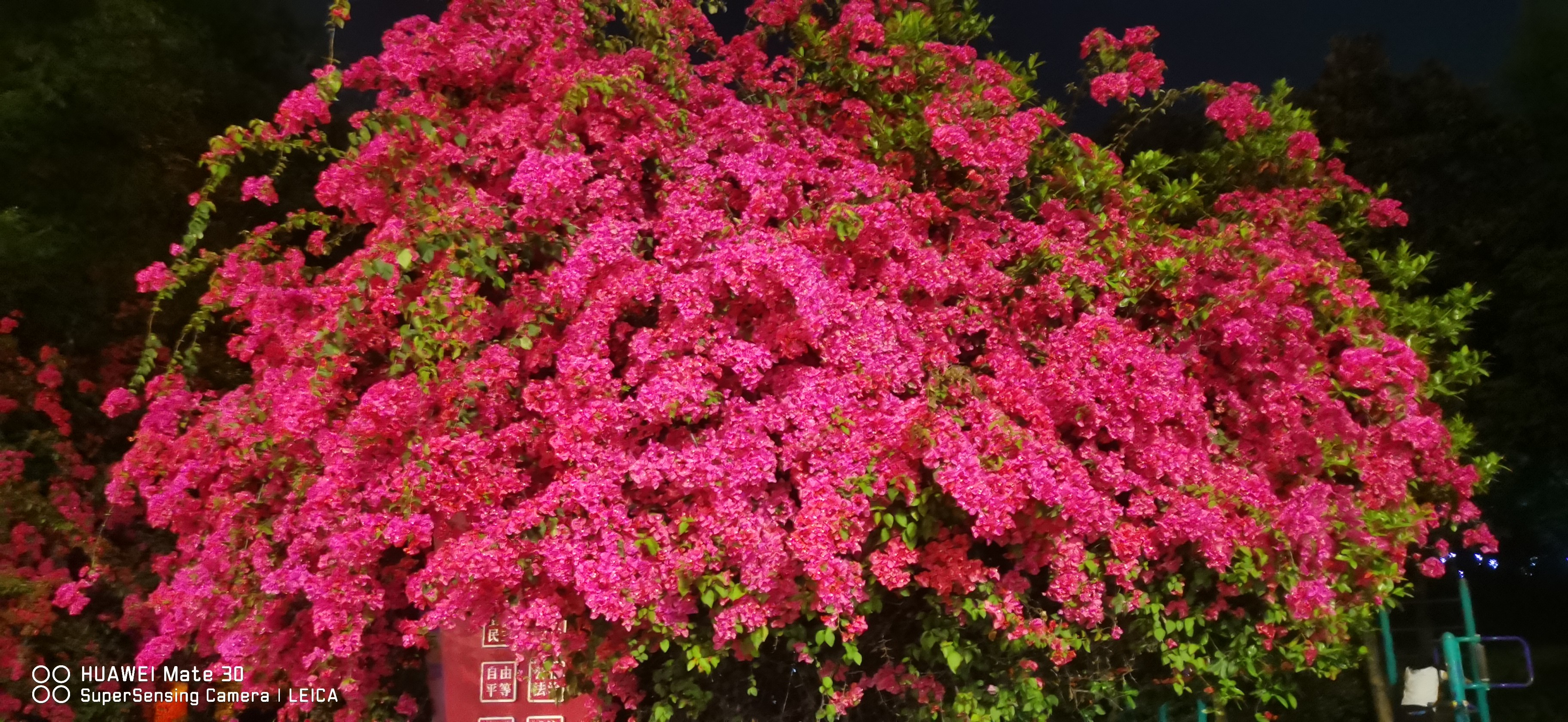 图片附件