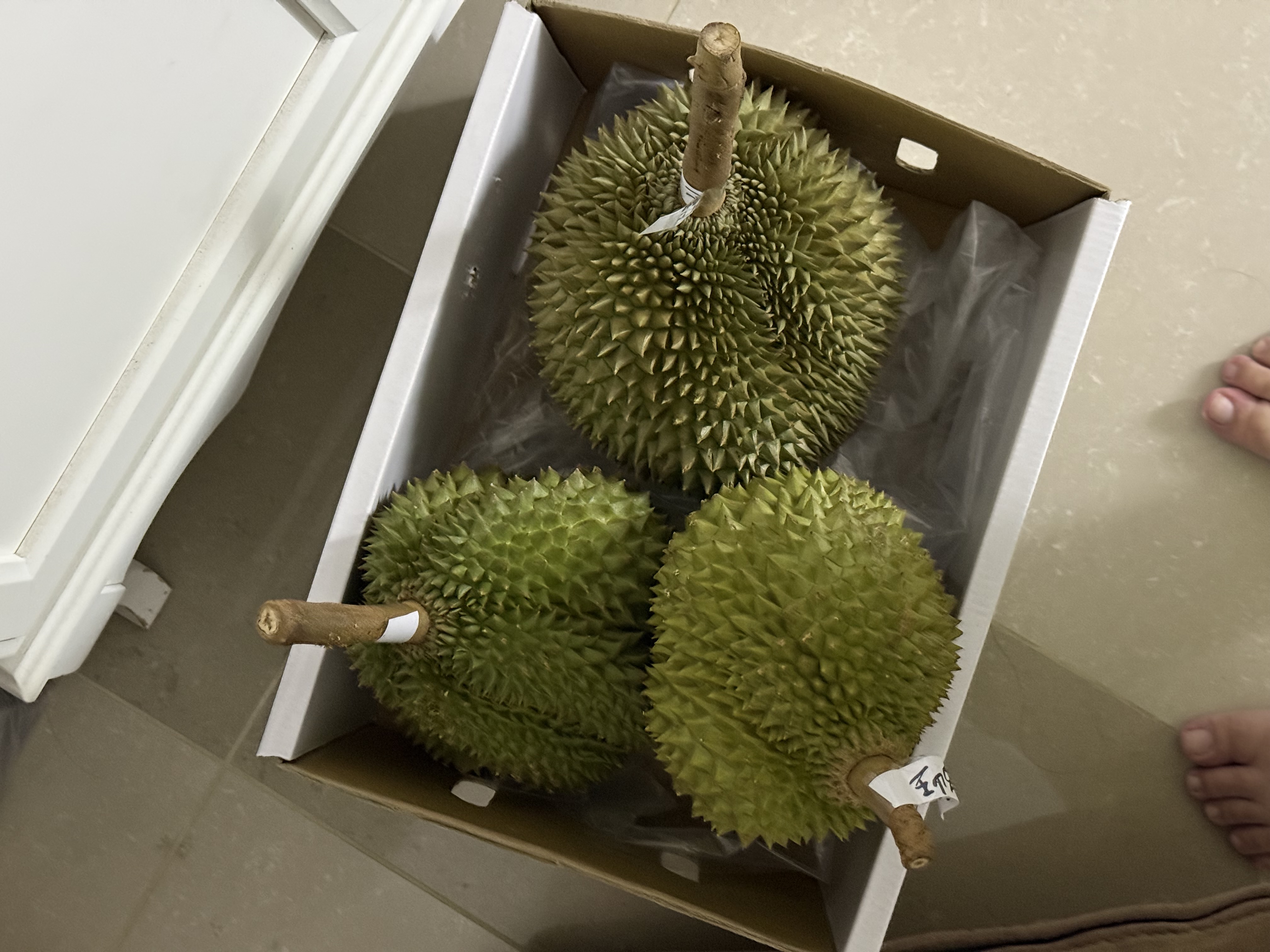 图片附件