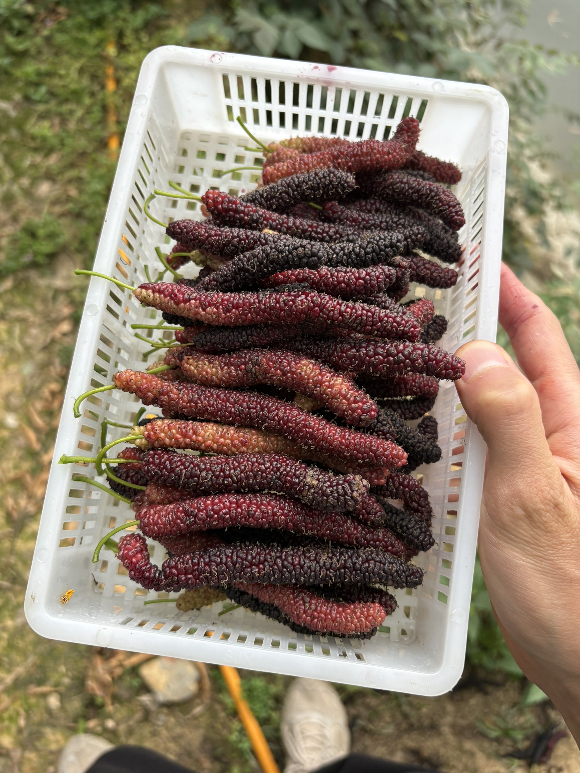 图片附件