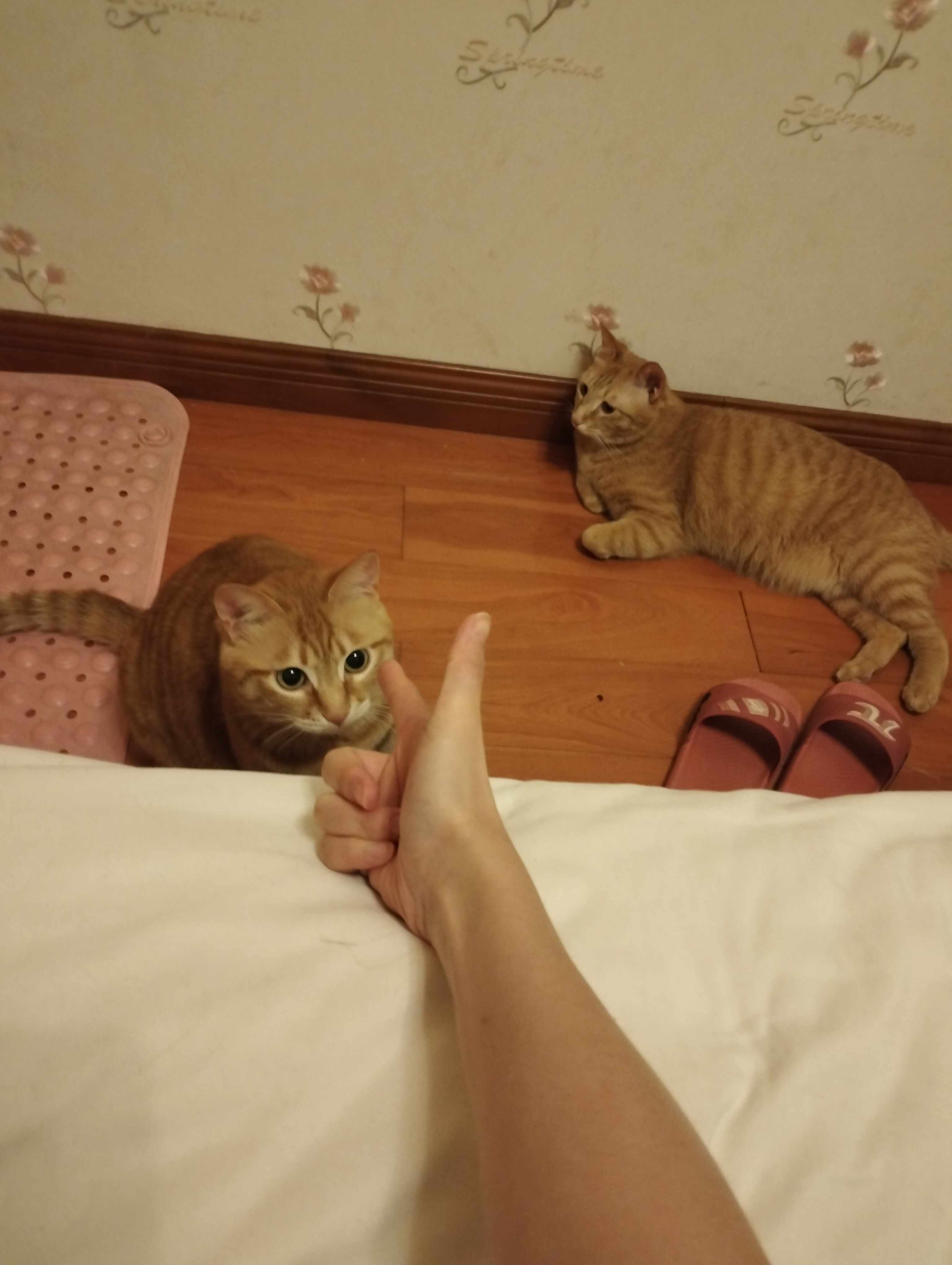图片附件